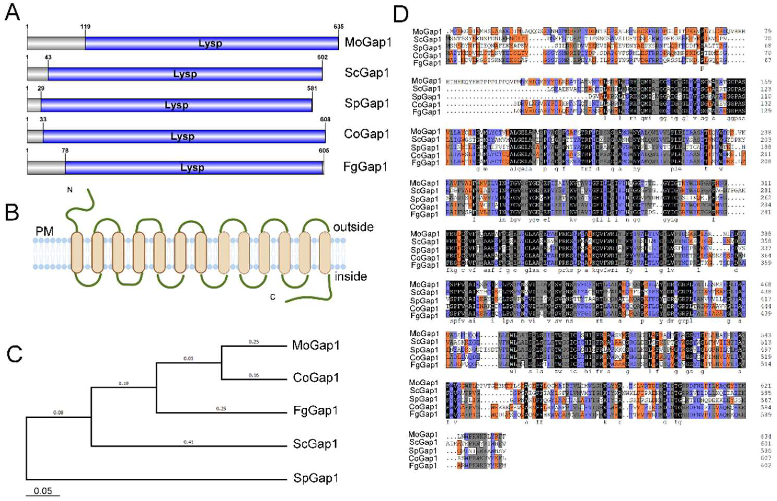 Ijms 23 13663 g001 Ijms 23 13663 g001