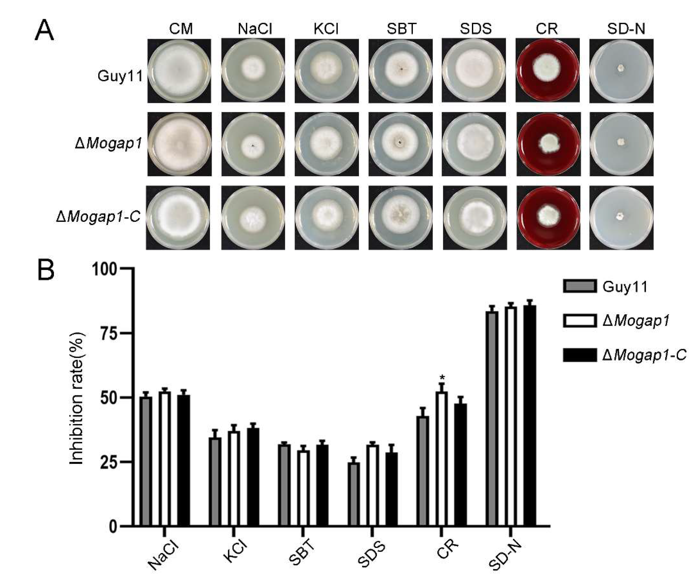 Ijms 23 13663 g005 Ijms 23 13663 g005