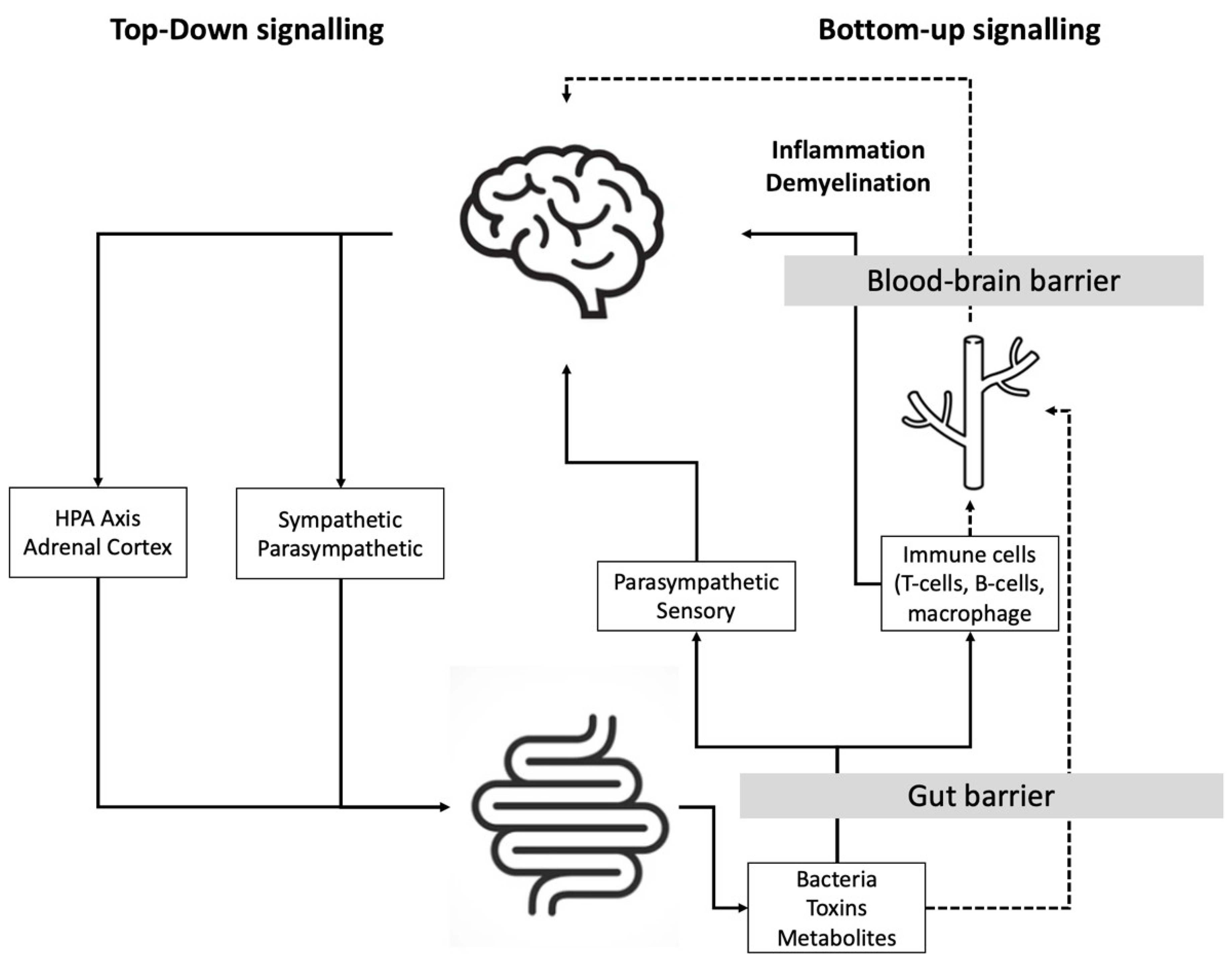 Ijms 23 13665 g001 Ijms 23 13665 g001