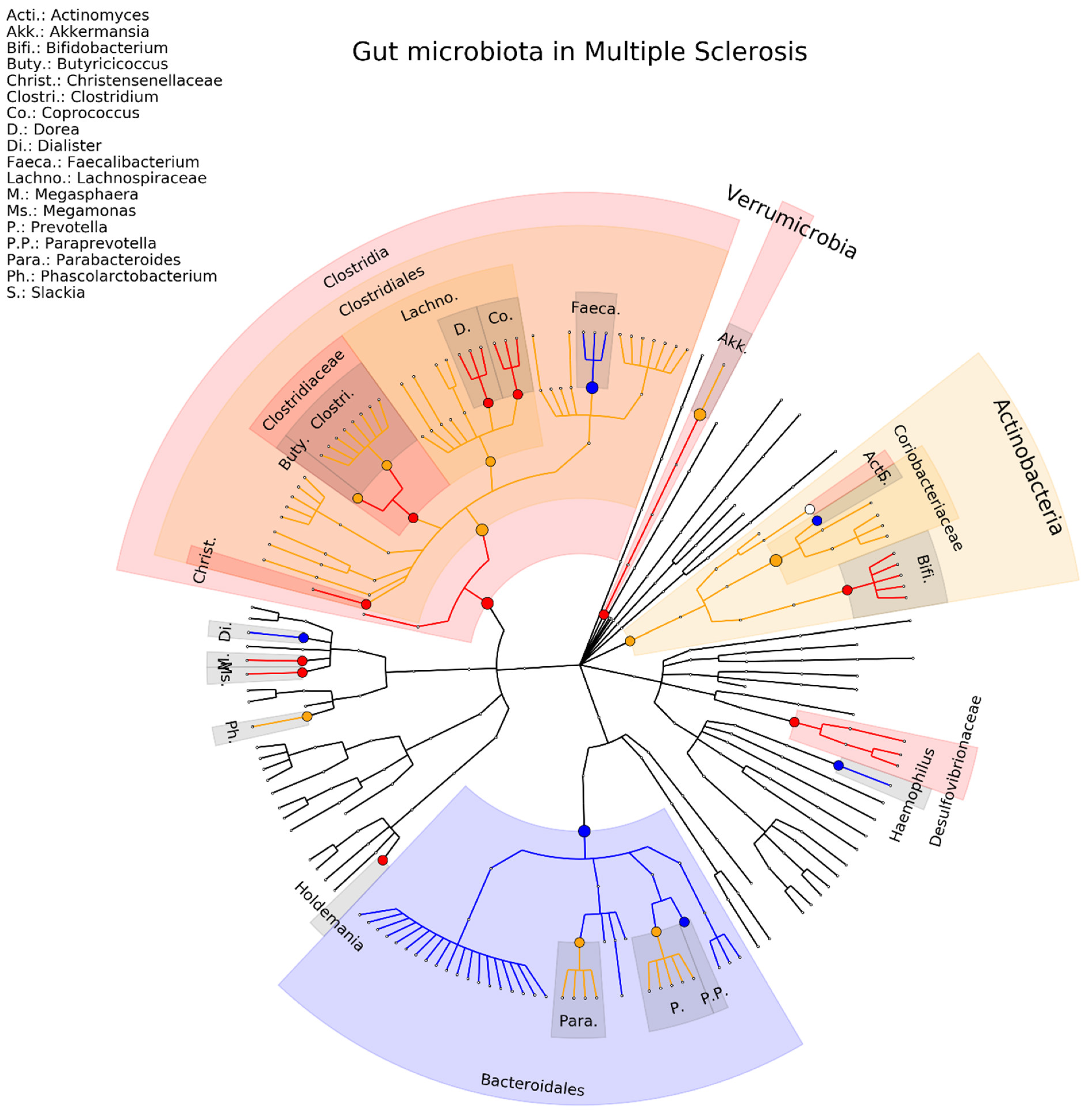 Ijms 23 13665 g005 Ijms 23 13665 g005