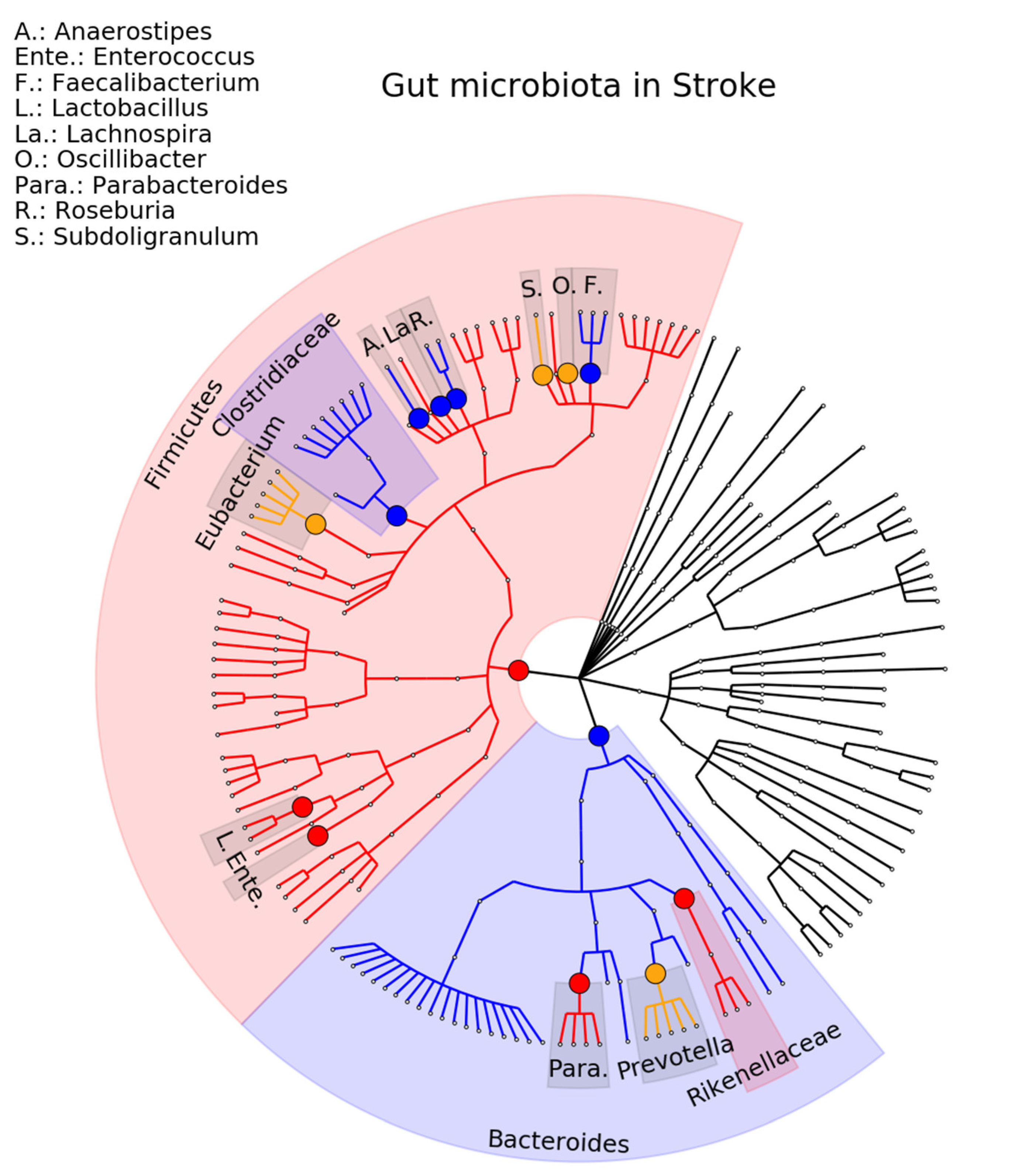 Ijms 23 13665 g006 Ijms 23 13665 g006