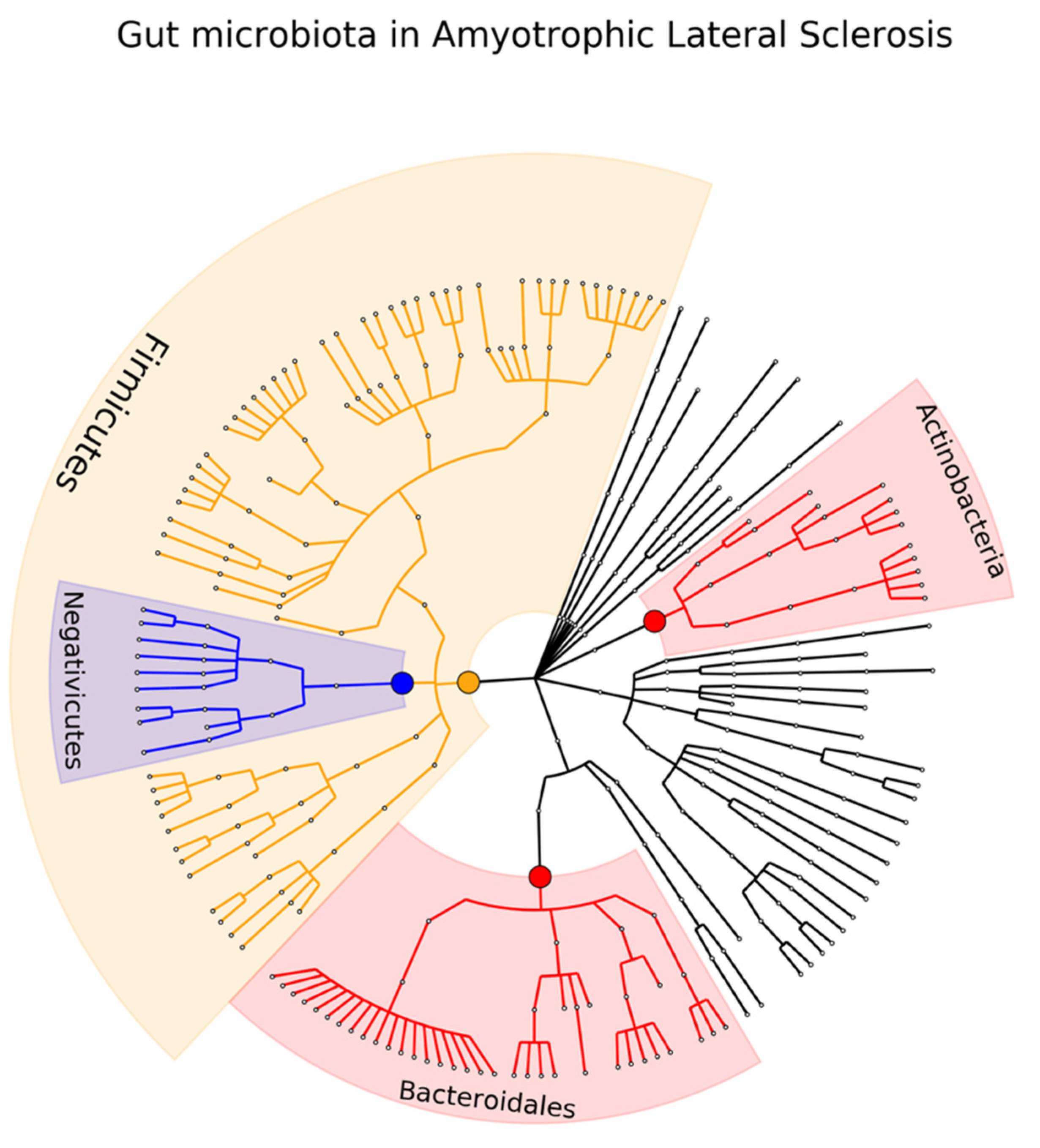 Ijms 23 13665 g007 Ijms 23 13665 g007