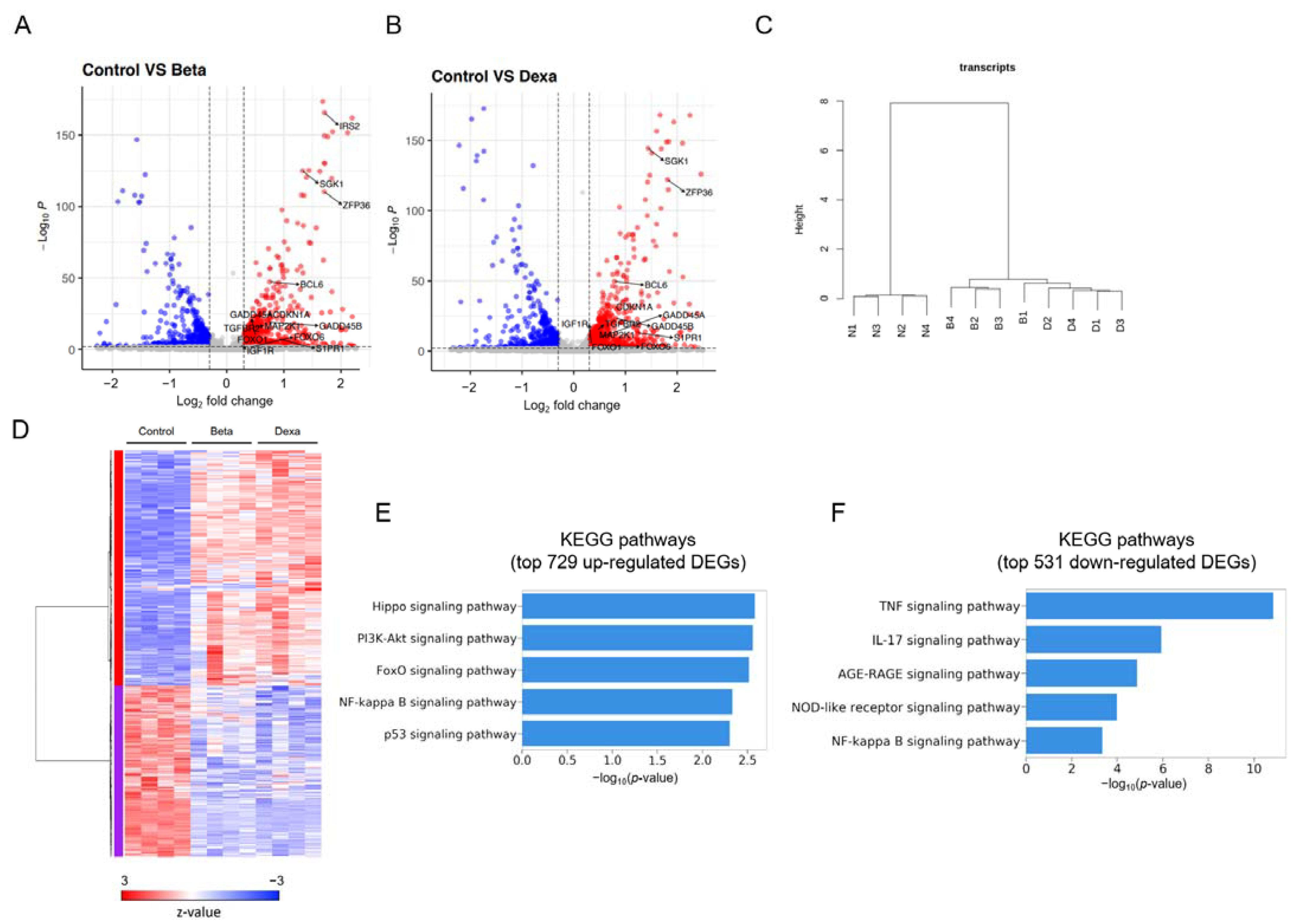 Ijms 23 13673 g003 Ijms 23 13673 g003