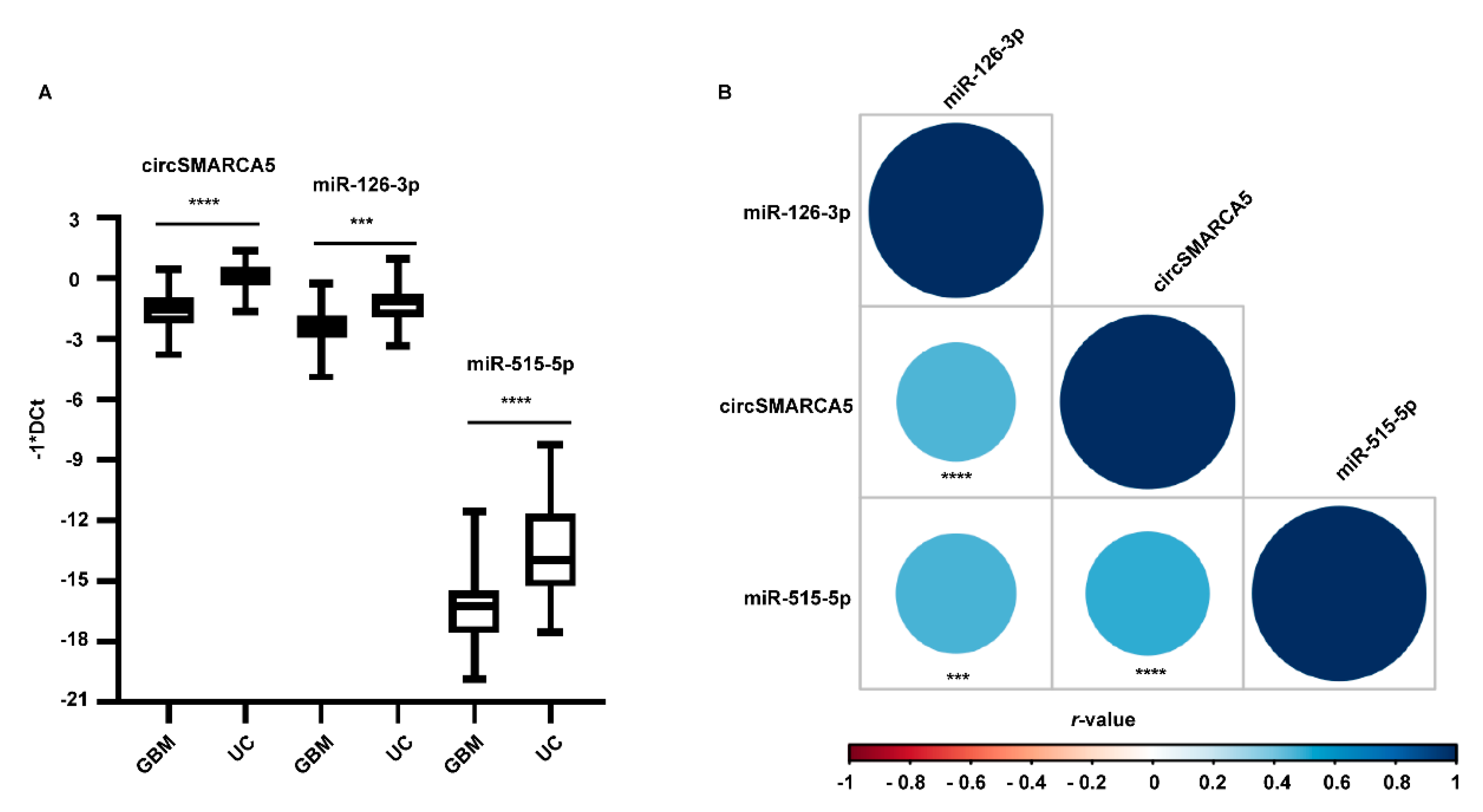 Ijms 23 13676 g003 Ijms 23 13676 g003