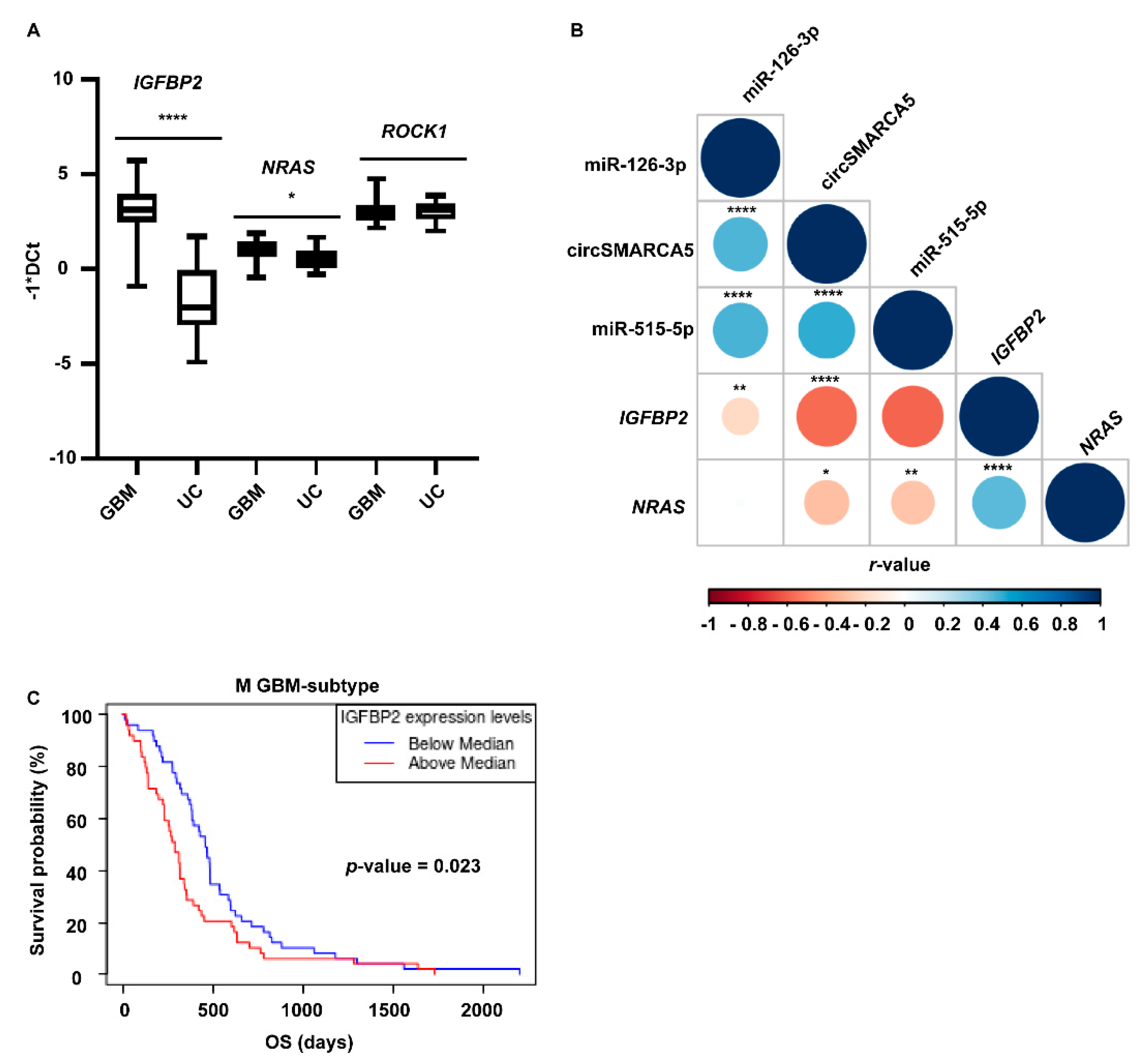 Ijms 23 13676 g005 Ijms 23 13676 g005