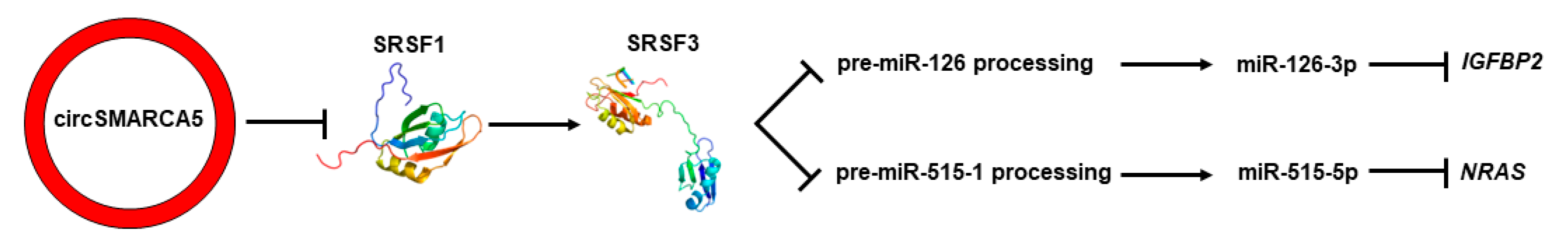 Ijms 23 13676 g006 Ijms 23 13676 g006