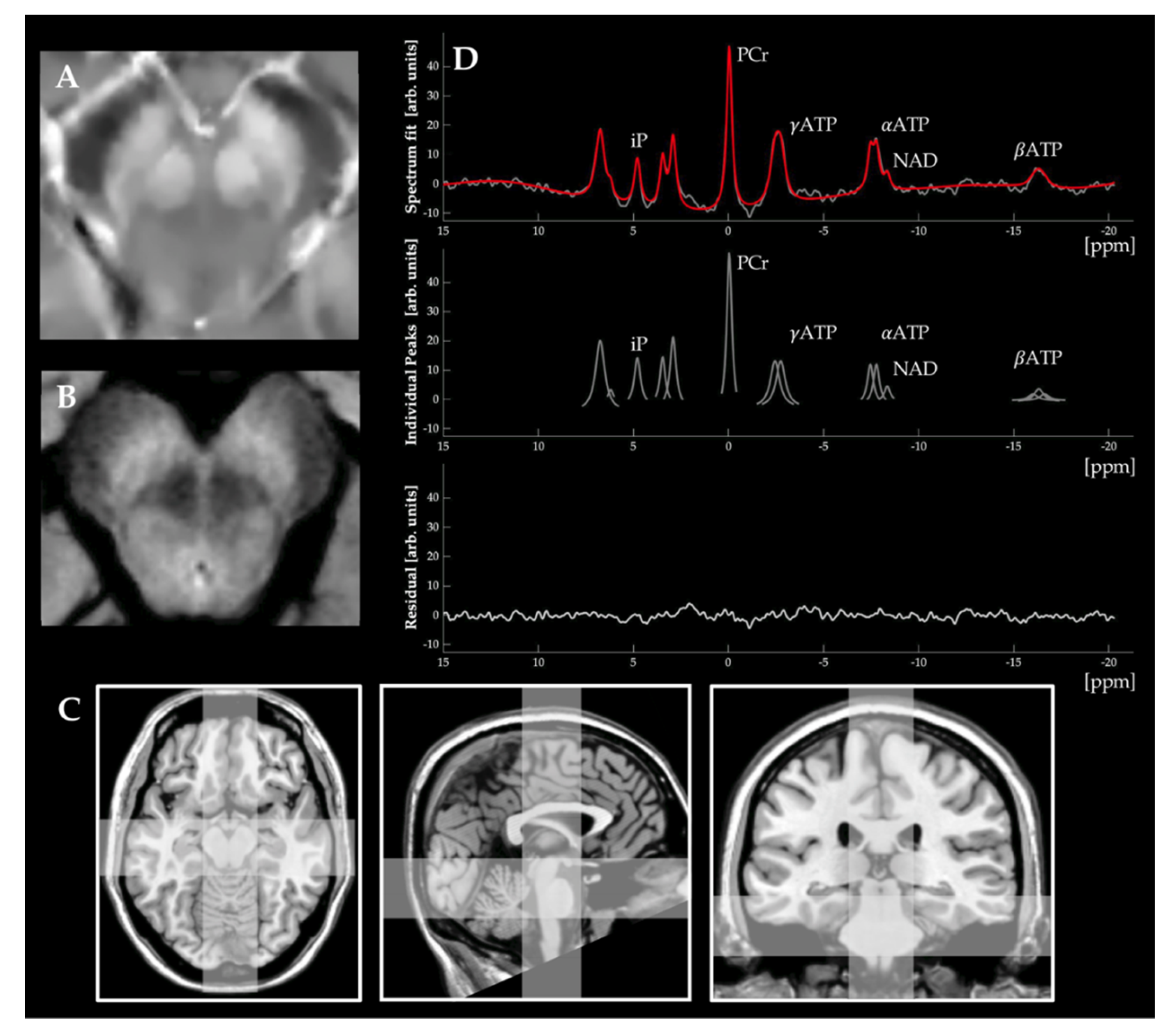 Ijms 23 13678 g002 Ijms 23 13678 g002