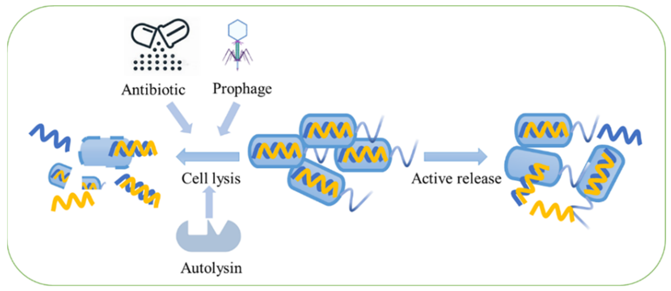 Ijms 23 13690 g001 Ijms 23 13690 g001