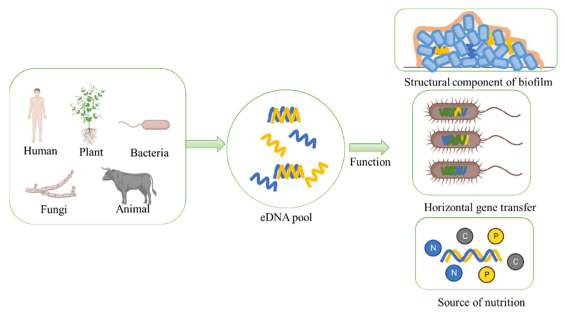 Ijms 23 13690 g002 Ijms 23 13690 g002