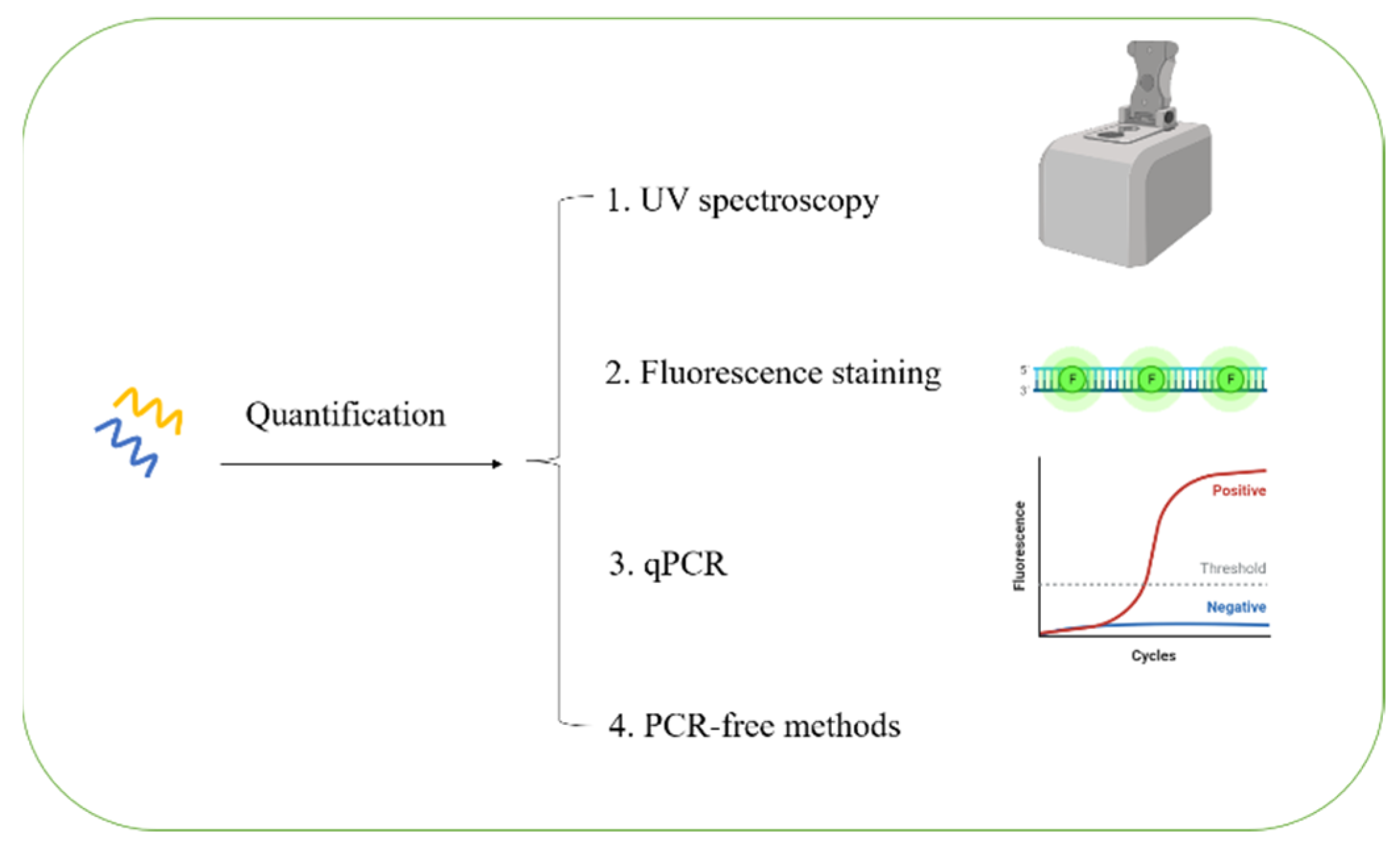 Ijms 23 13690 g005 Ijms 23 13690 g005