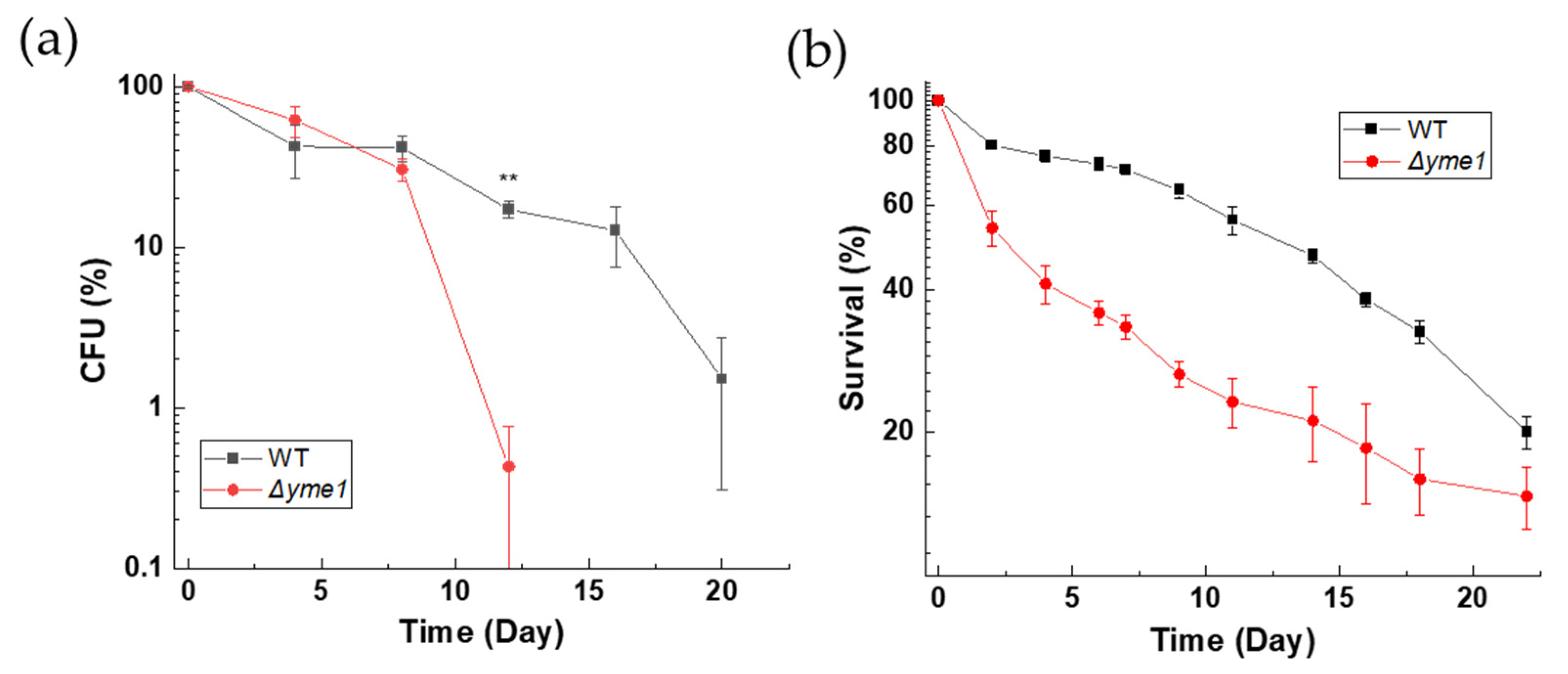Ijms 23 13694 g003 Ijms 23 13694 g003