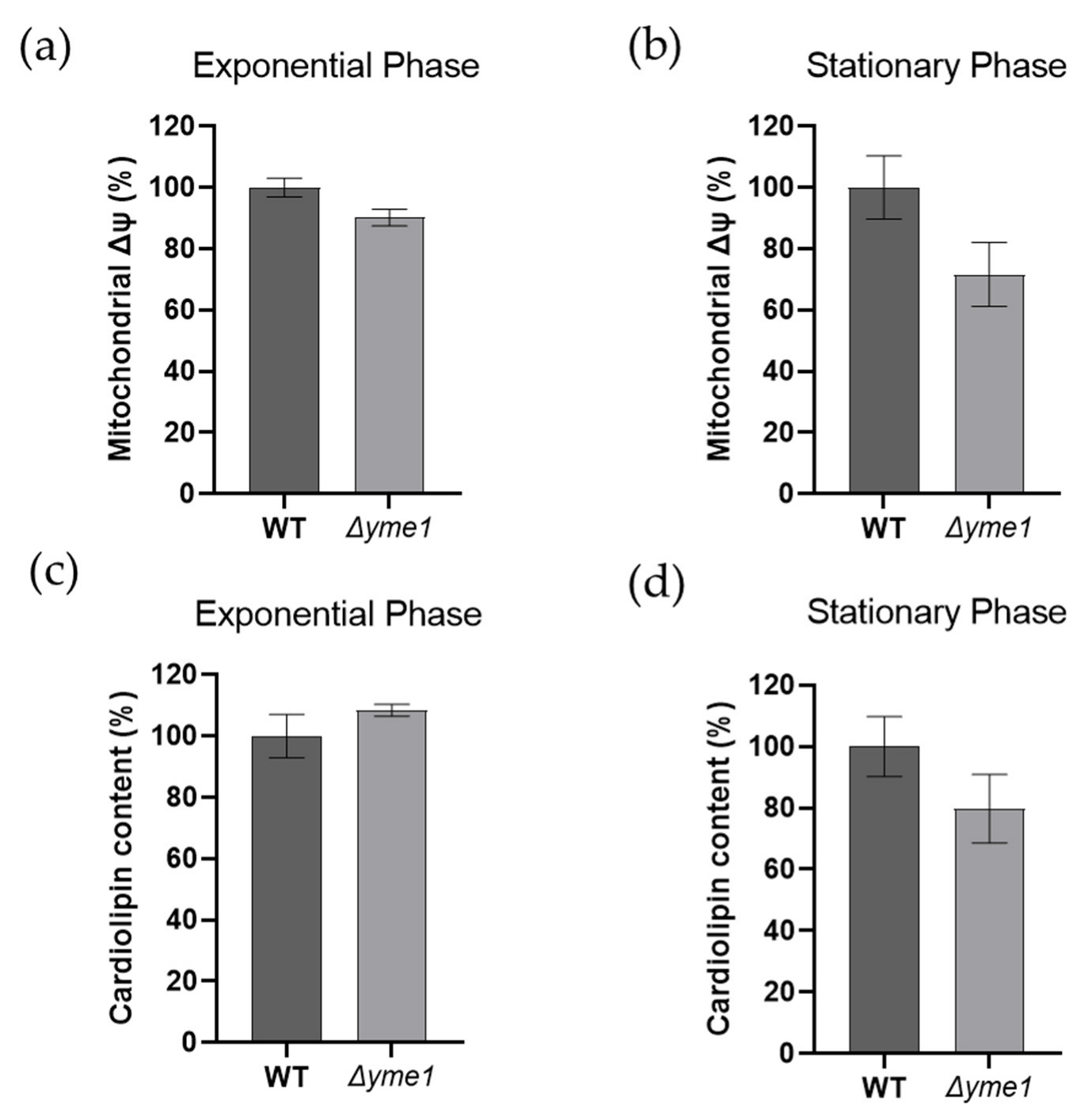 Ijms 23 13694 g004 Ijms 23 13694 g004