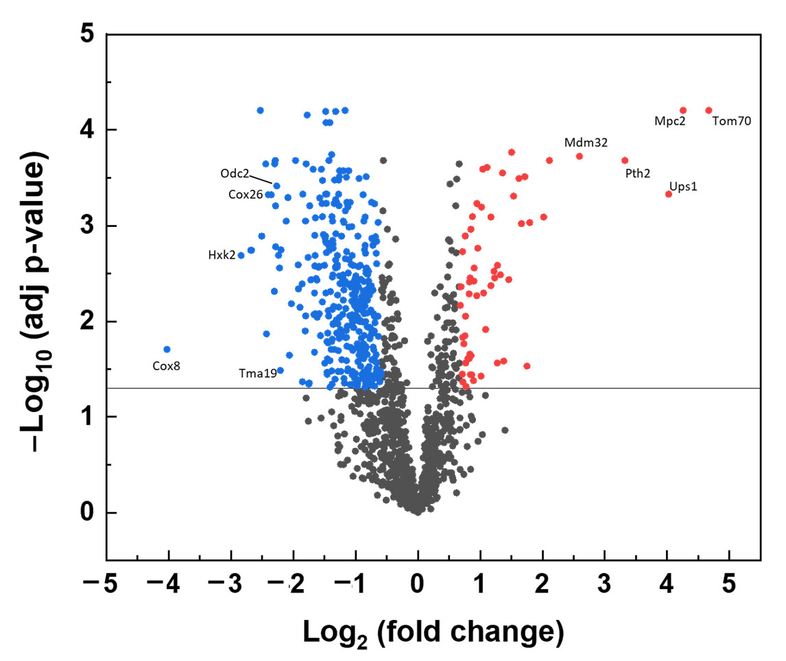Ijms 23 13694 g005 Ijms 23 13694 g005