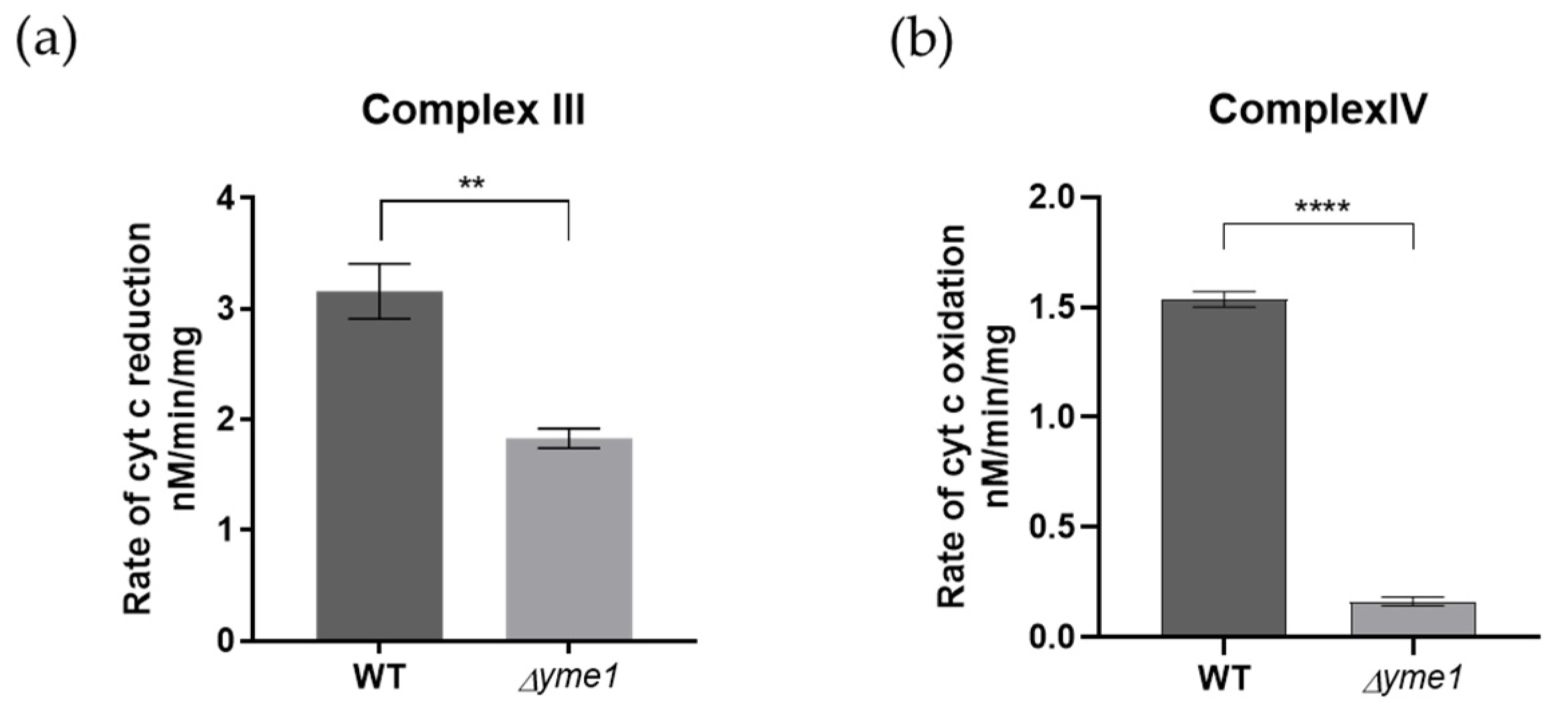 Ijms 23 13694 g008 Ijms 23 13694 g008