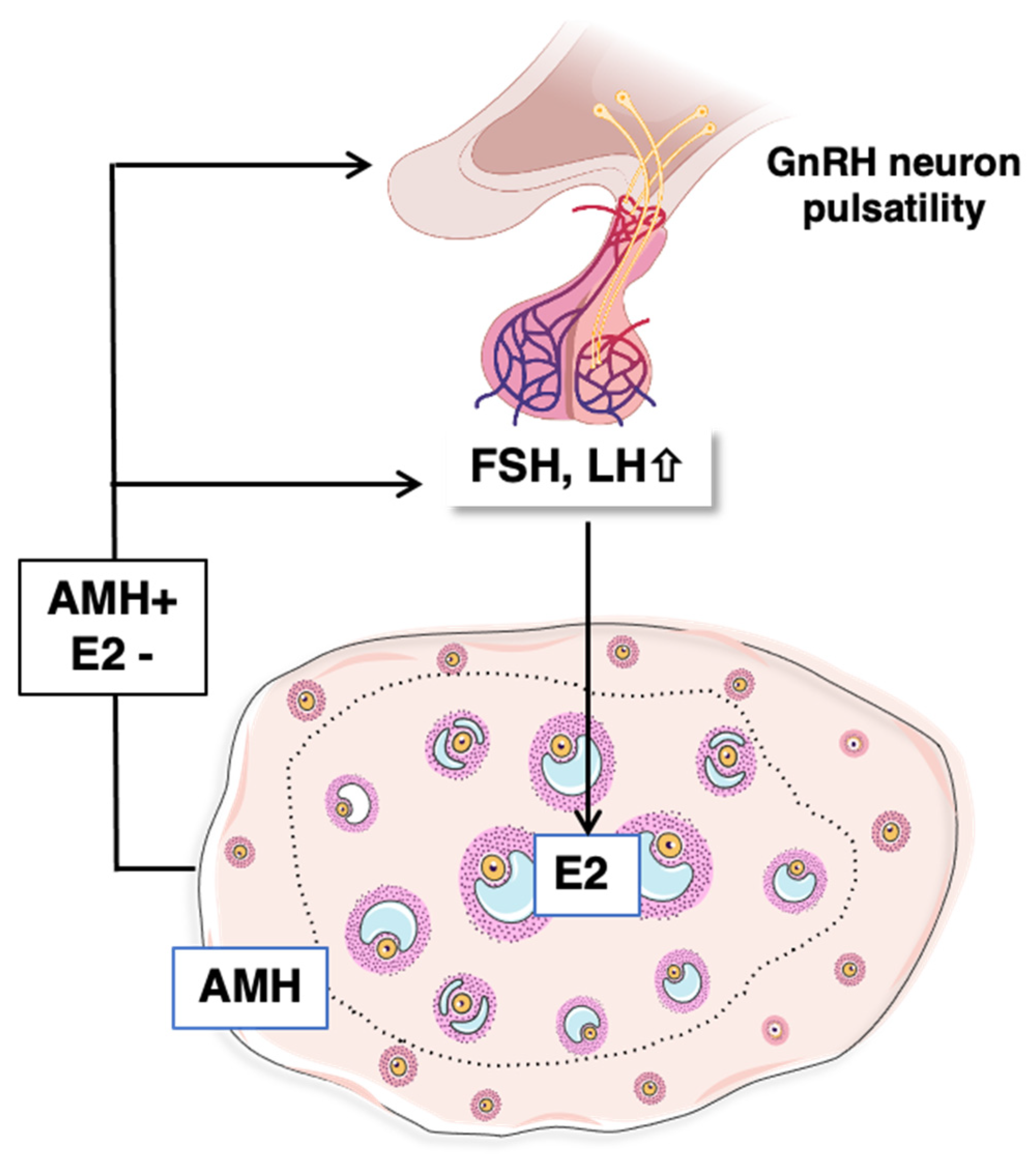 Ijms 23 13695 g005 Ijms 23 13695 g005