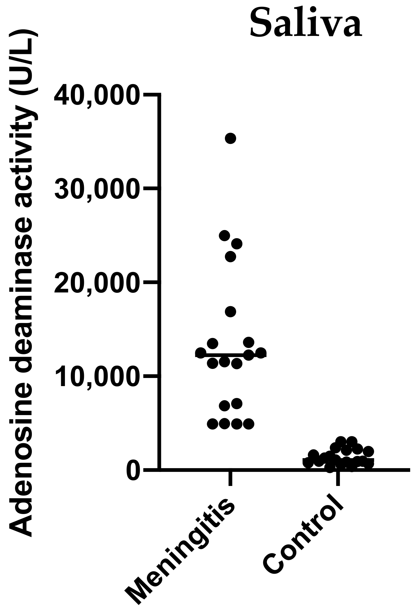 Ijms 23 13700 g007 Ijms 23 13700 g007