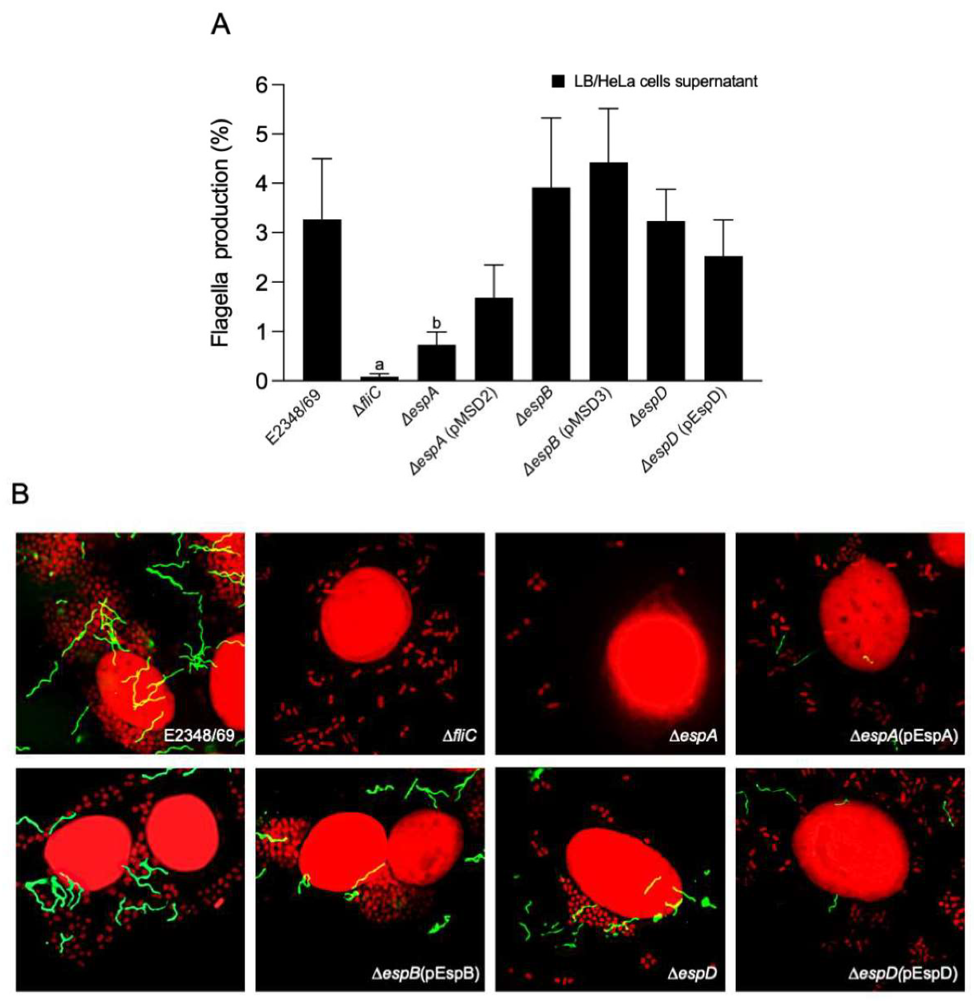 Ijms 23 13705 g001 Ijms 23 13705 g001