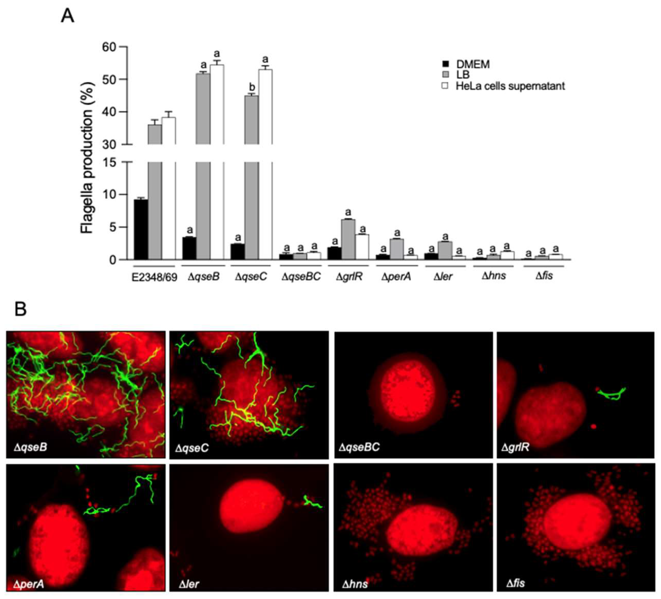 Ijms 23 13705 g005 Ijms 23 13705 g005