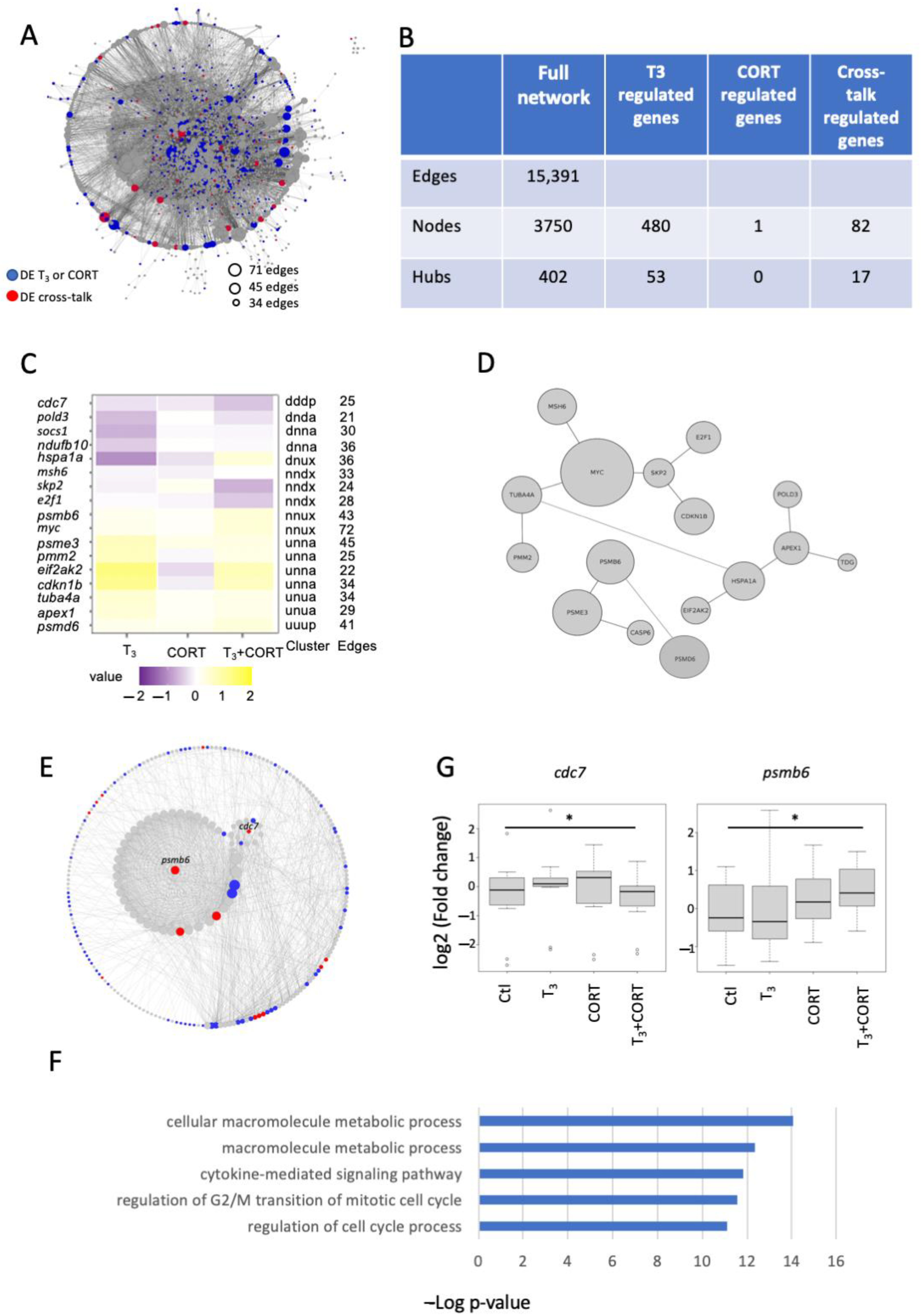 Ijms 23 13715 g004 Ijms 23 13715 g004