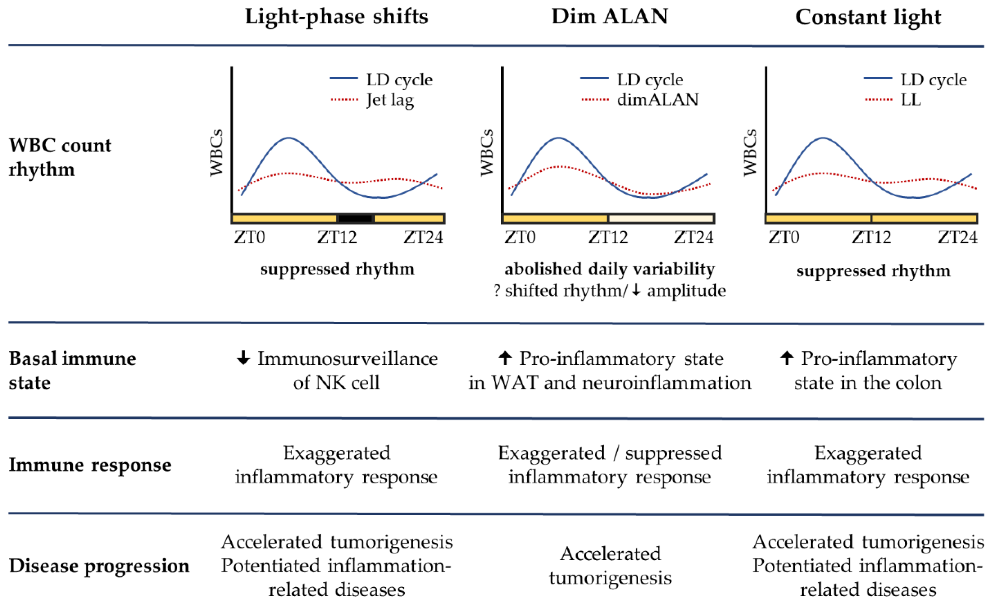 Inflammatory Response Biology Diagrams