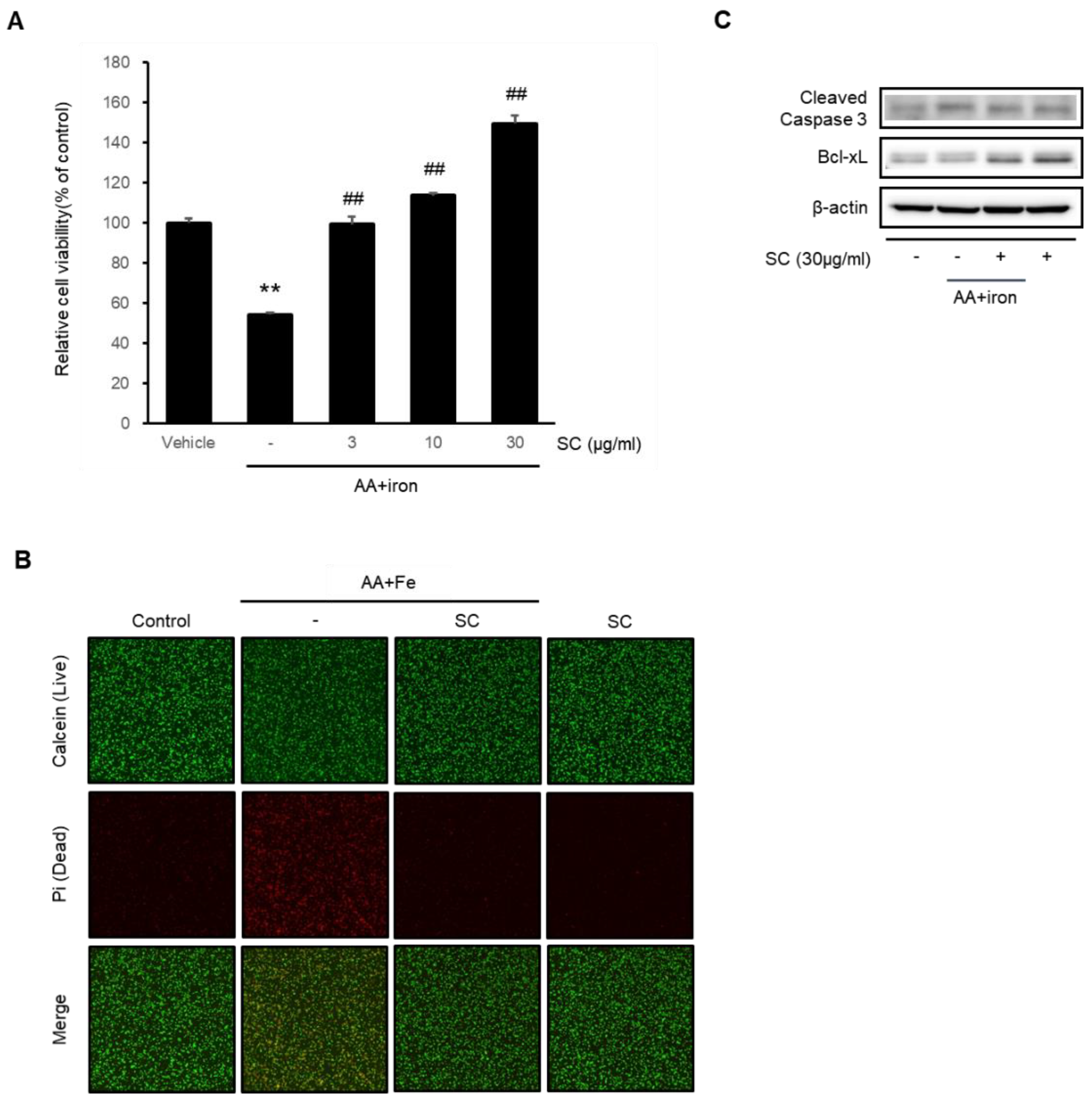 Ijms 23 13730 g001 Ijms 23 13730 g001