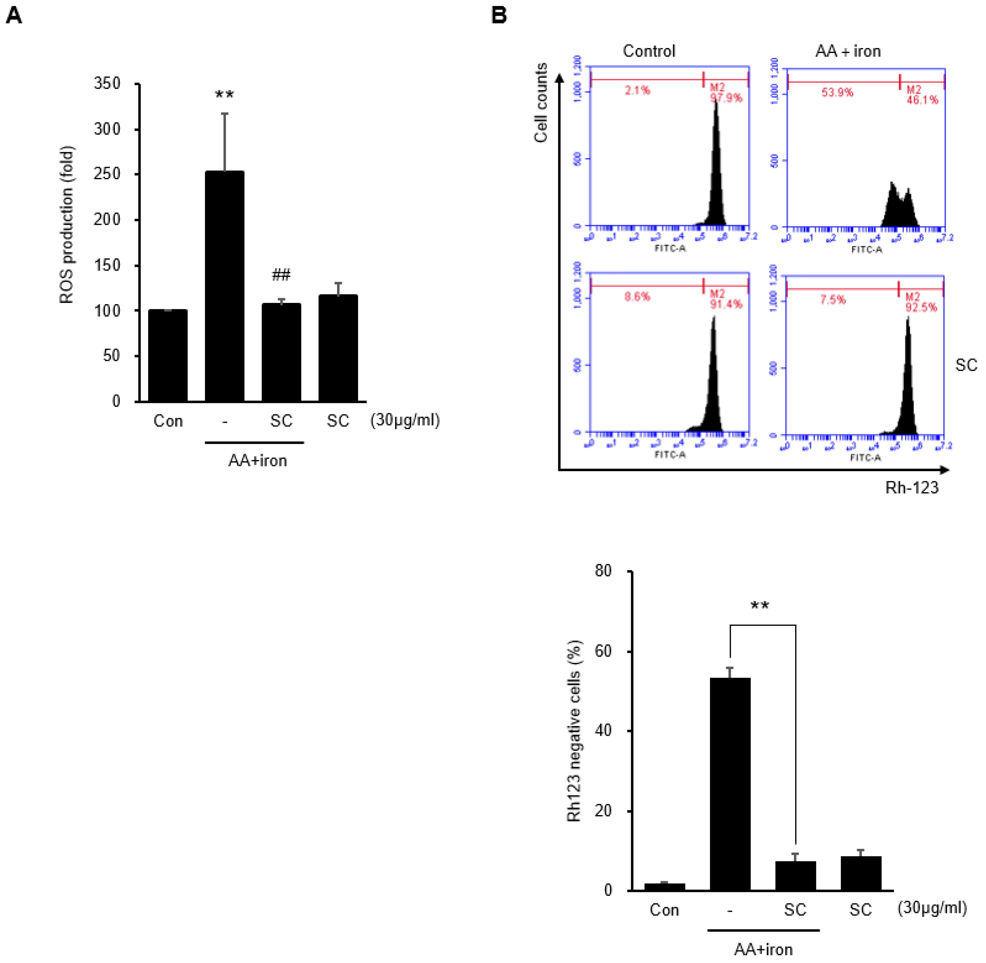 Ijms 23 13730 g002 Ijms 23 13730 g002