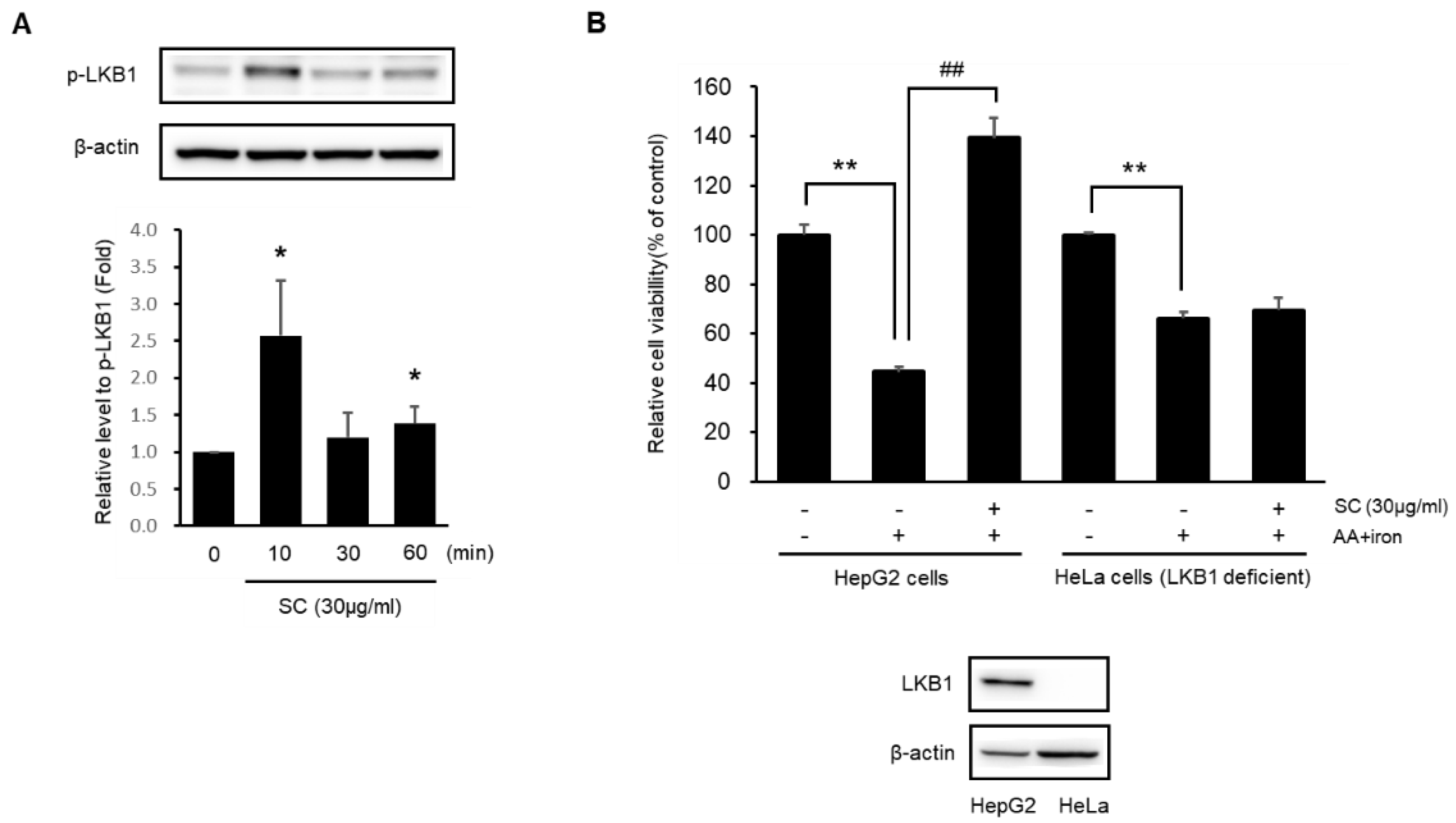 Ijms 23 13730 g004 Ijms 23 13730 g004
