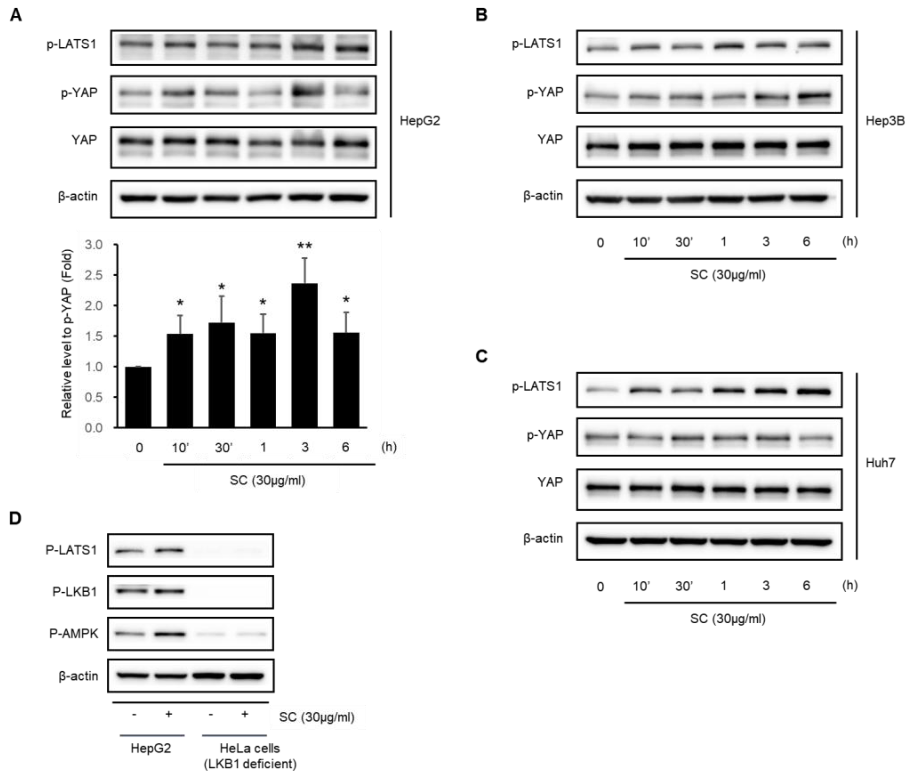 Ijms 23 13730 g005 Ijms 23 13730 g005