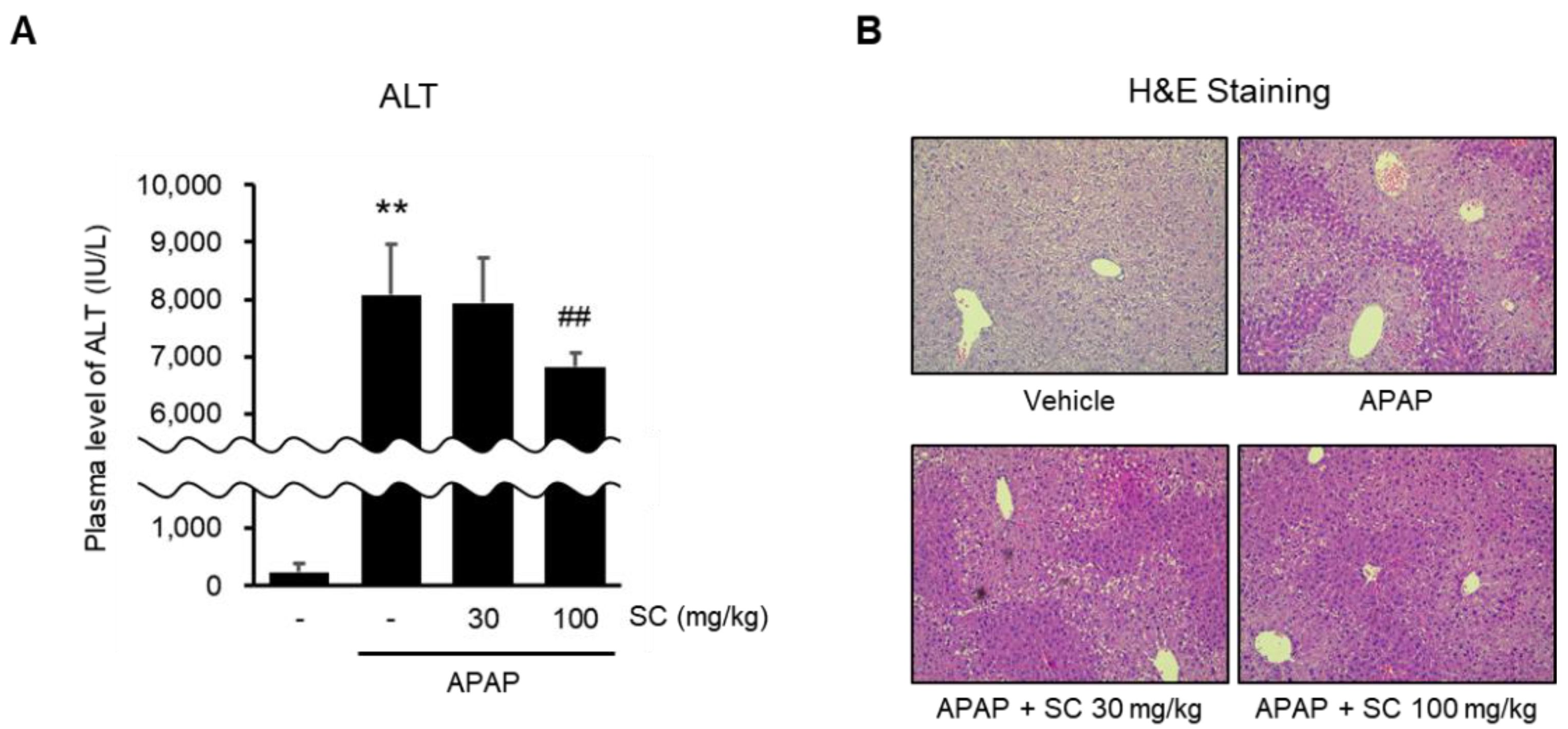 Ijms 23 13730 g007 Ijms 23 13730 g007
