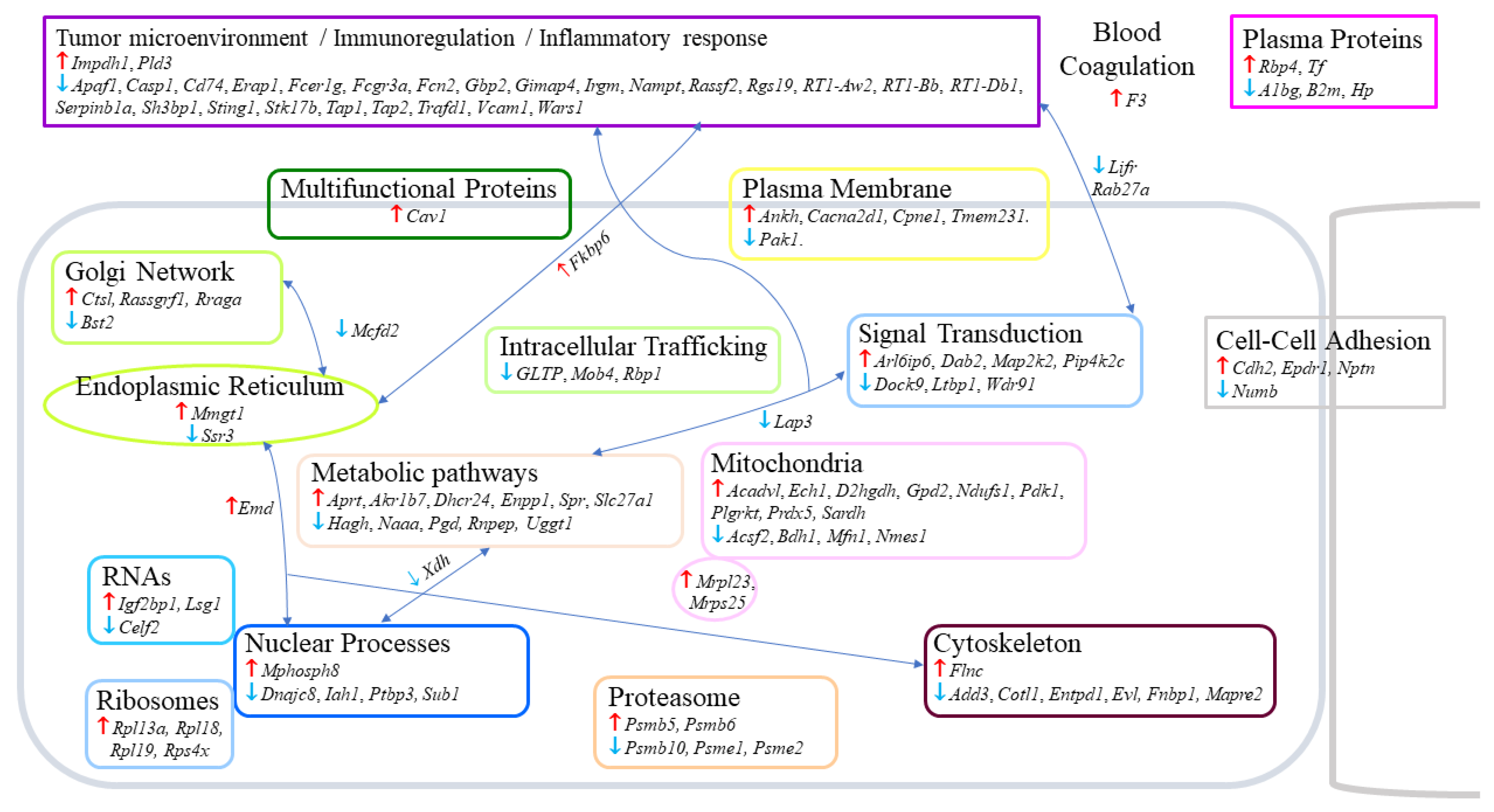 Ijms 23 13732 g002 Ijms 23 13732 g002