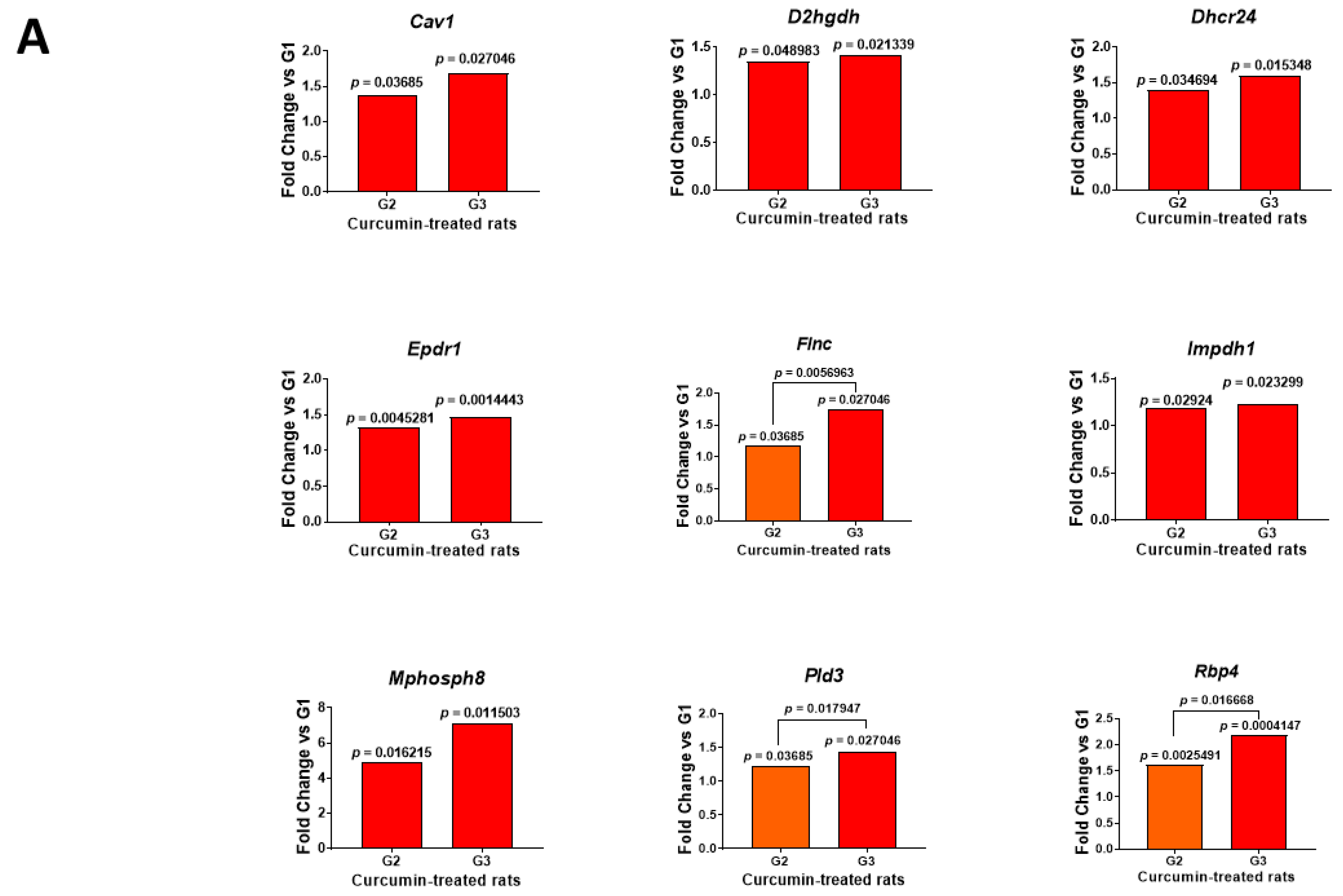 Ijms 23 13732 g003a Ijms 23 13732 g003a