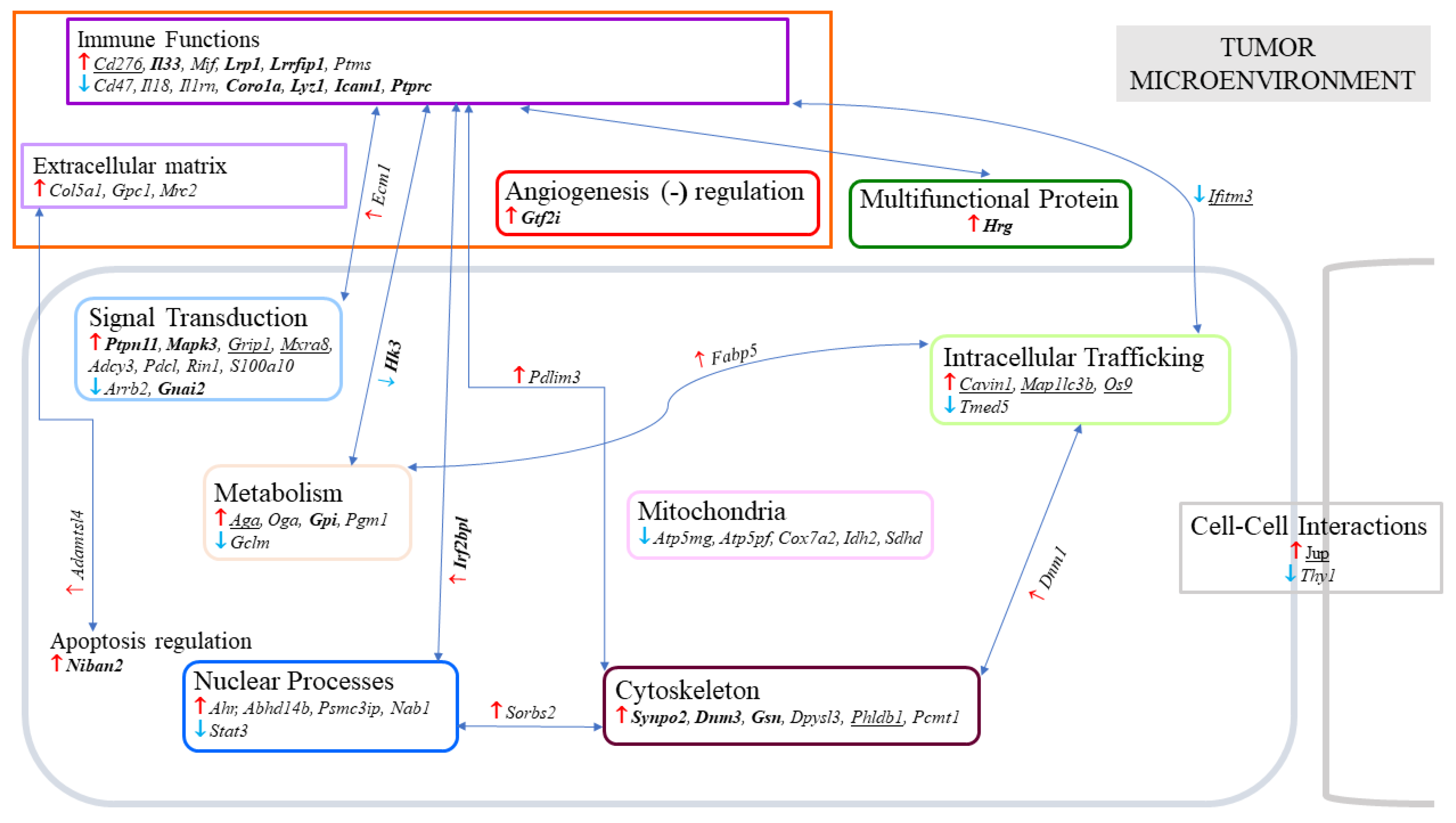 Ijms 23 13732 g004 Ijms 23 13732 g004