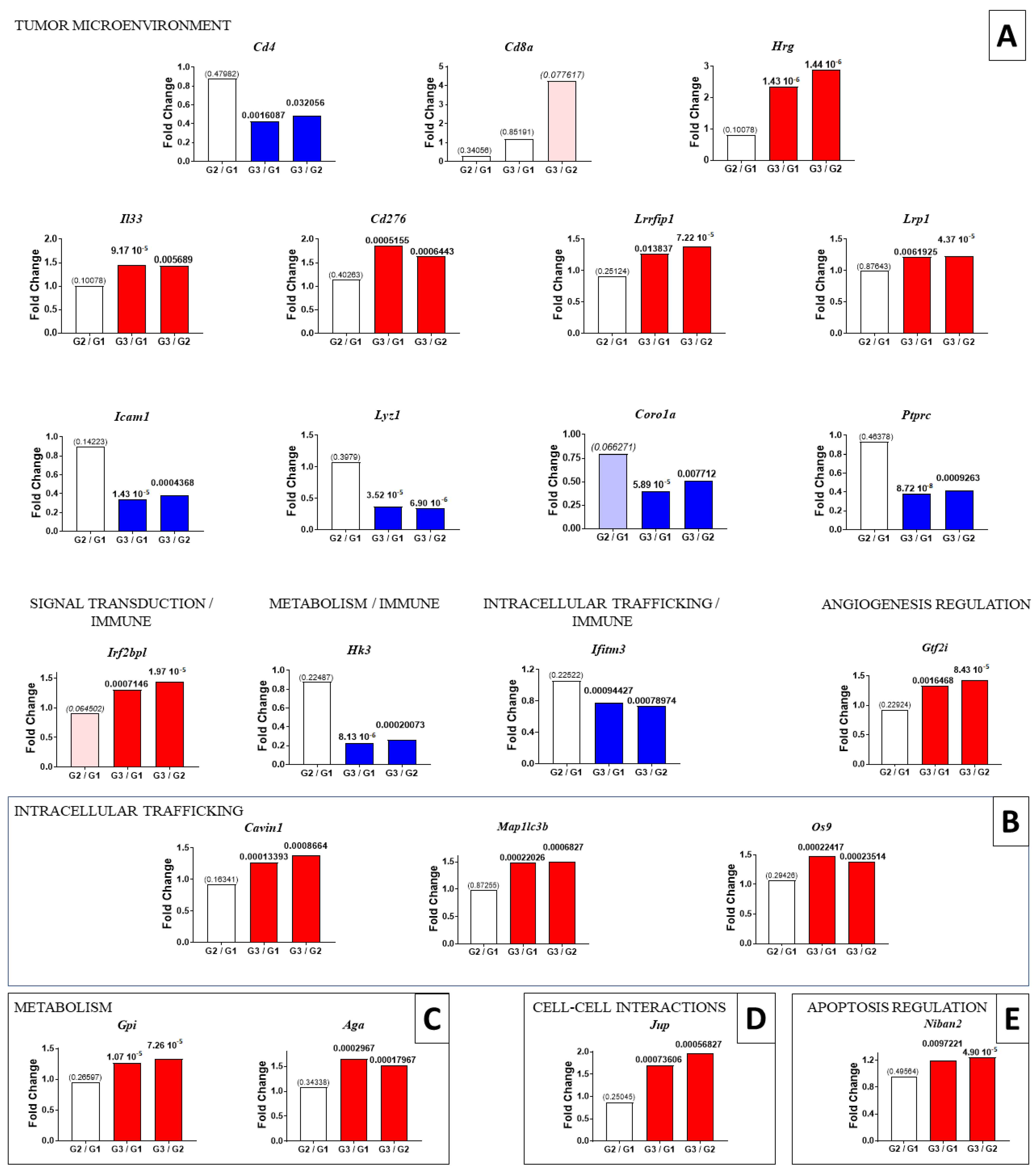 Ijms 23 13732 g005a Ijms 23 13732 g005a