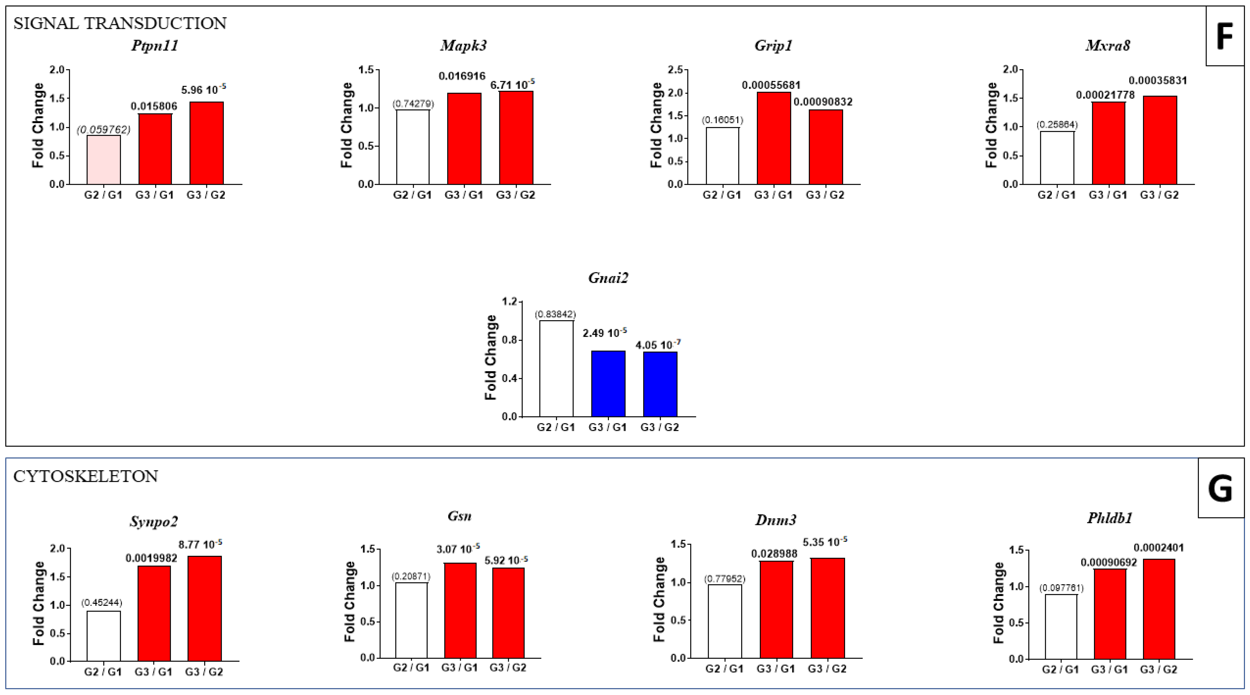 Ijms 23 13732 g005b Ijms 23 13732 g005b