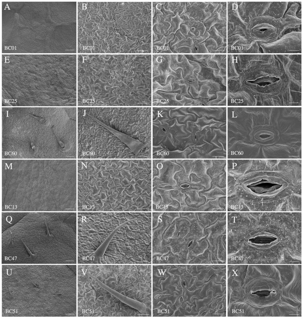 Ijms 23 13736 g003 Ijms 23 13736 g003