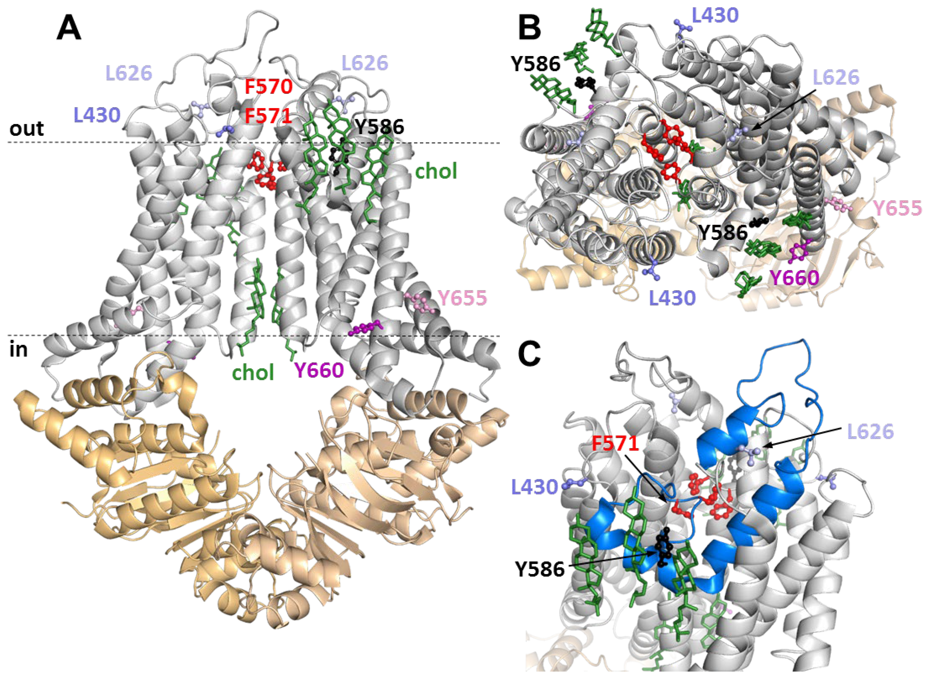 Ijms 23 13744 g005 Ijms 23 13744 g005
