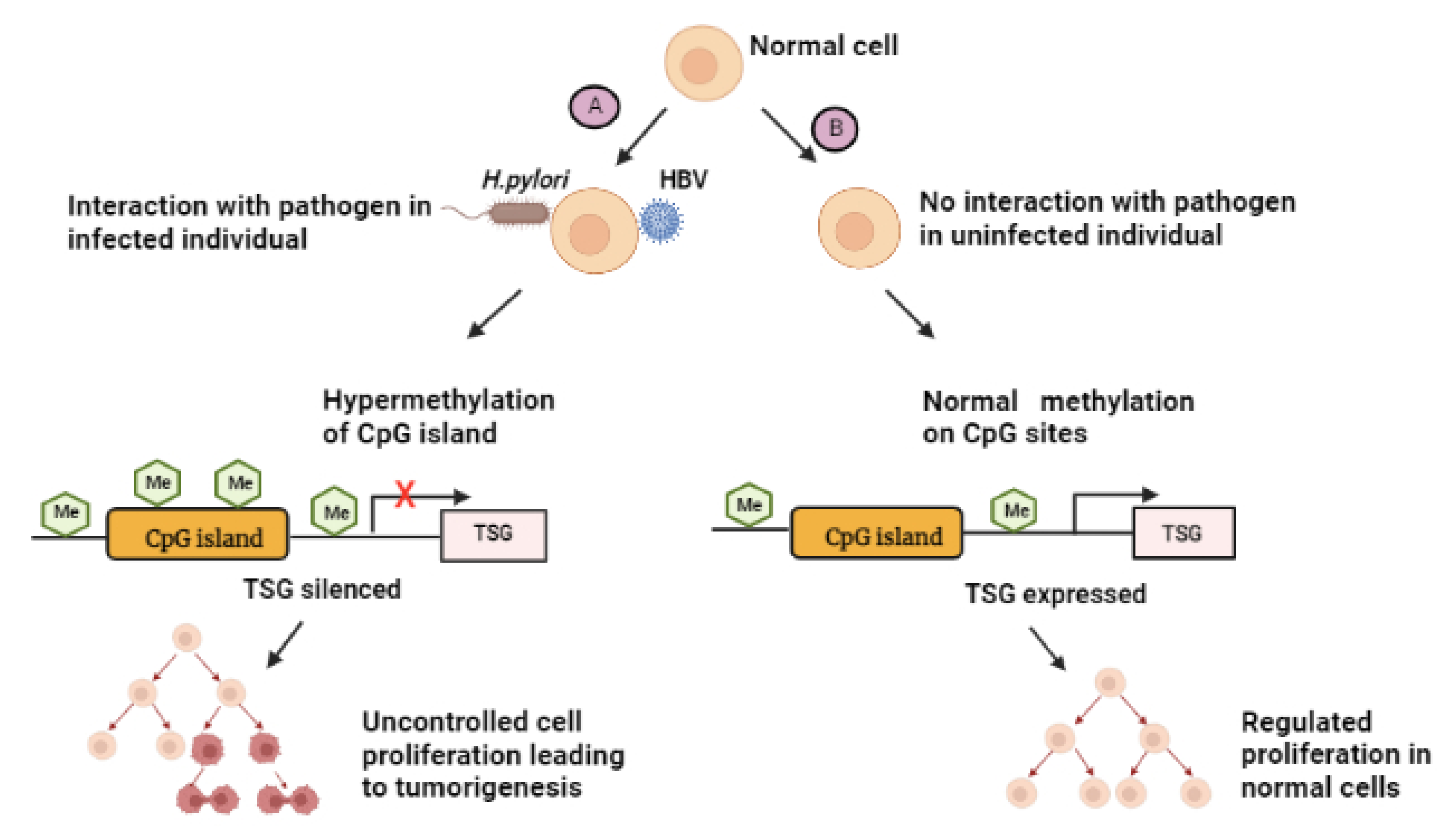 Ijms 23 13750 g005 Ijms 23 13750 g005
