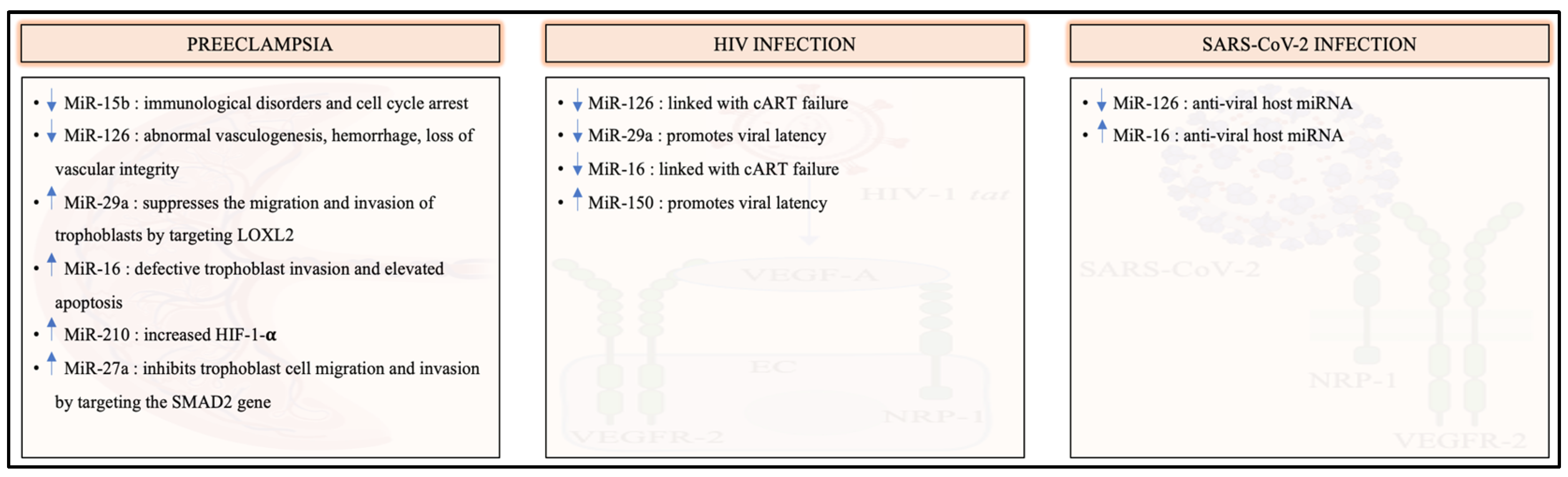 Ijms 23 13752 g003 Ijms 23 13752 g003