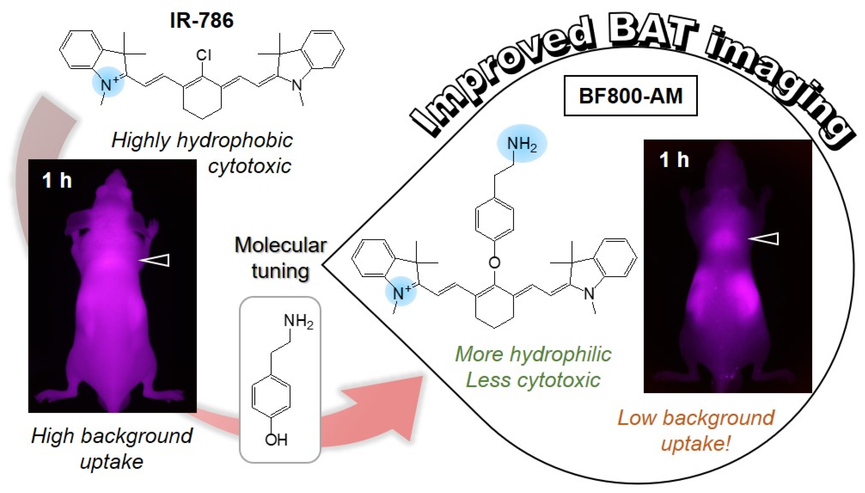 Ijms 23 13756 sch001