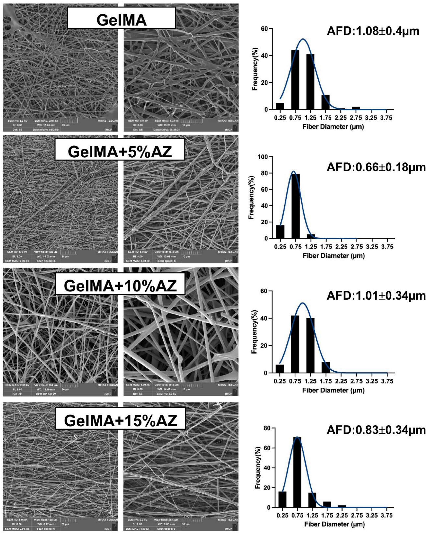 Ijms 23 13761 g001 Ijms 23 13761 g001