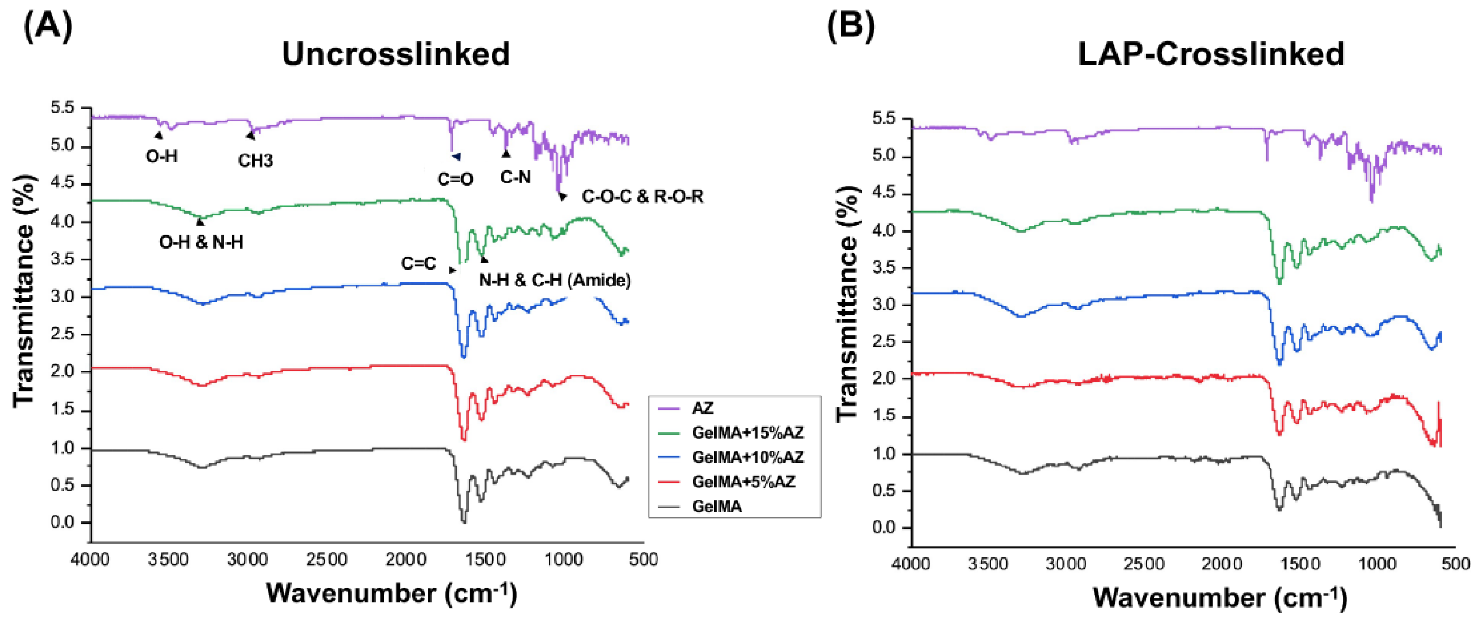 Ijms 23 13761 g002 Ijms 23 13761 g002
