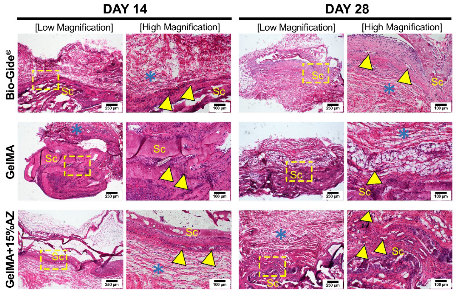 Ijms 23 13761 g005 Ijms 23 13761 g005