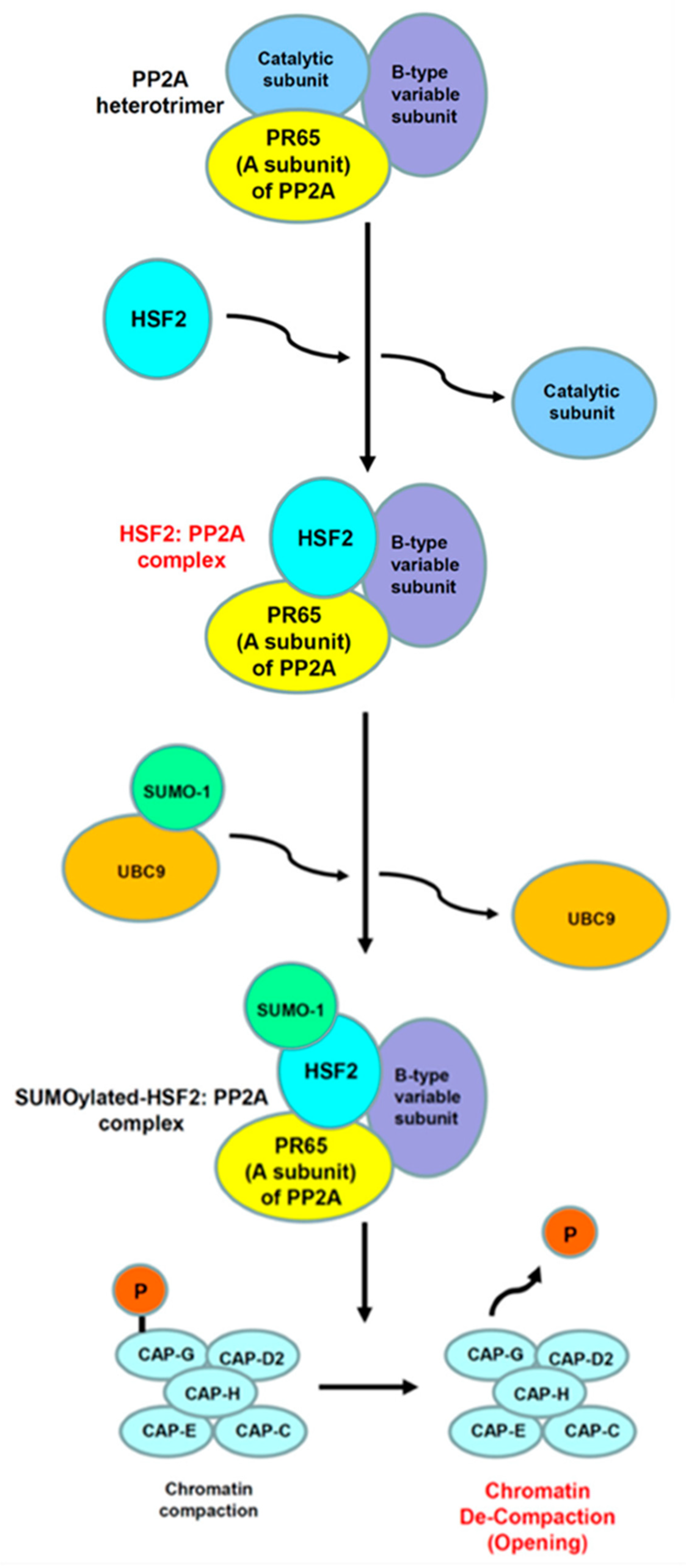 Ijms 23 13763 g002 Ijms 23 13763 g002