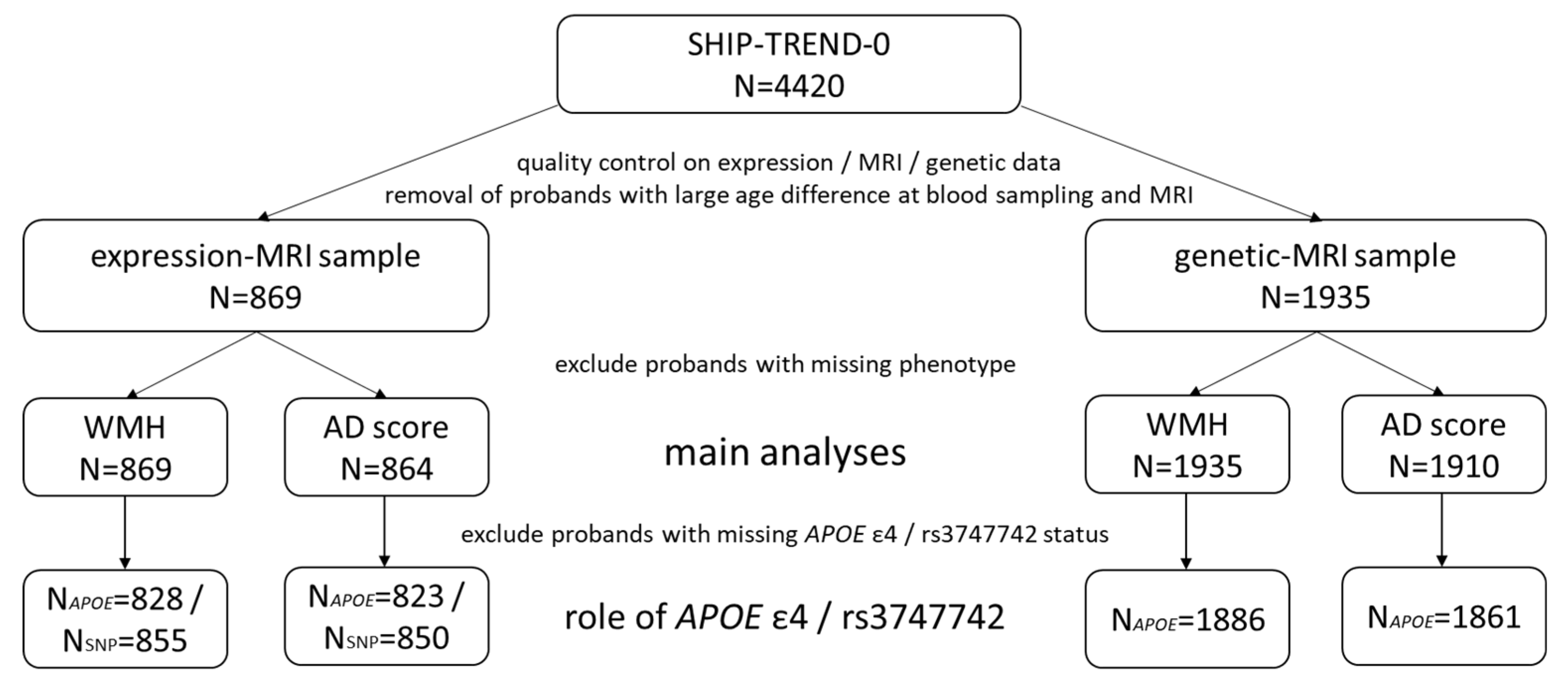 Ijms 23 13764 g001 Ijms 23 13764 g001