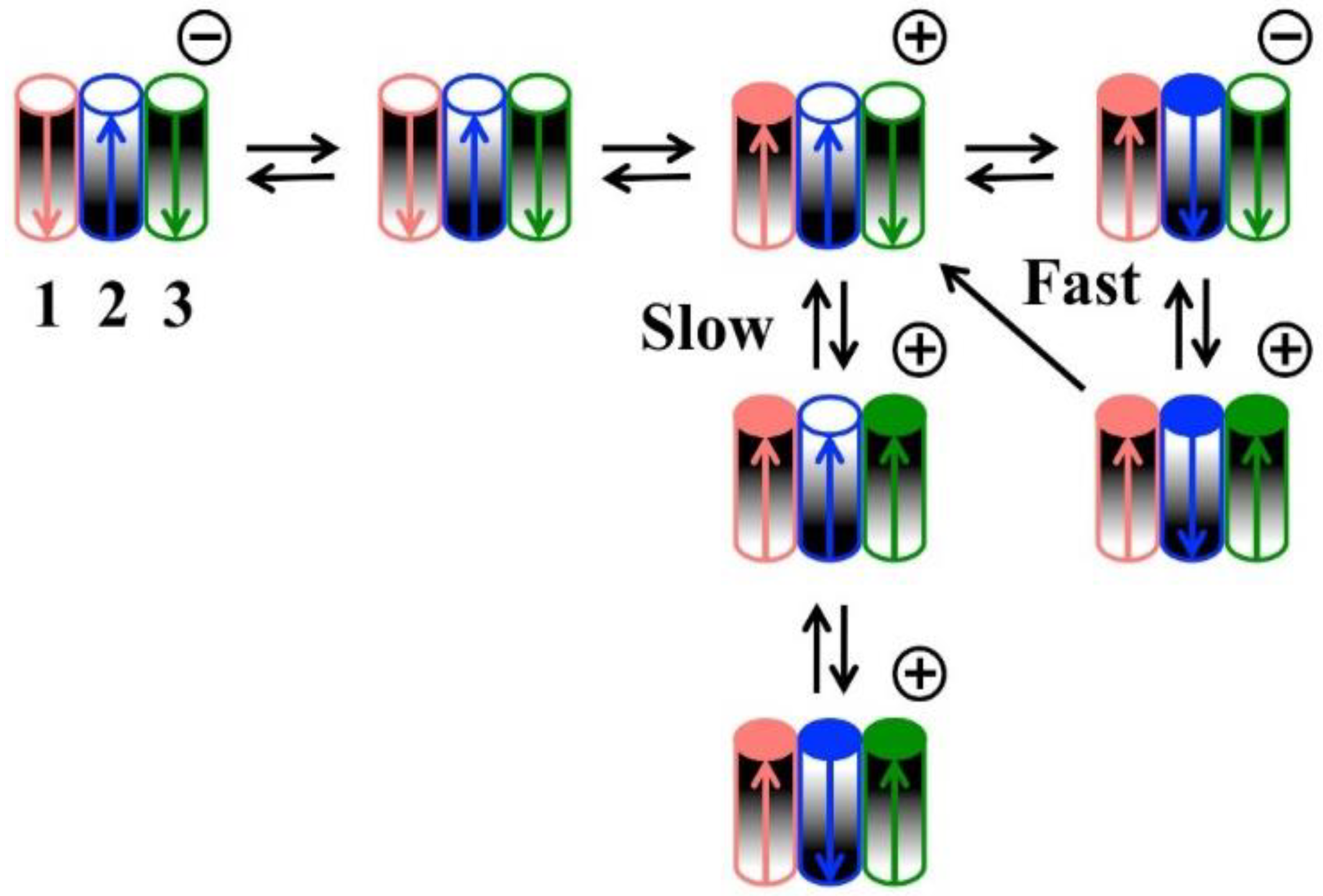 Ijms 23 13765 g001 Ijms 23 13765 g001