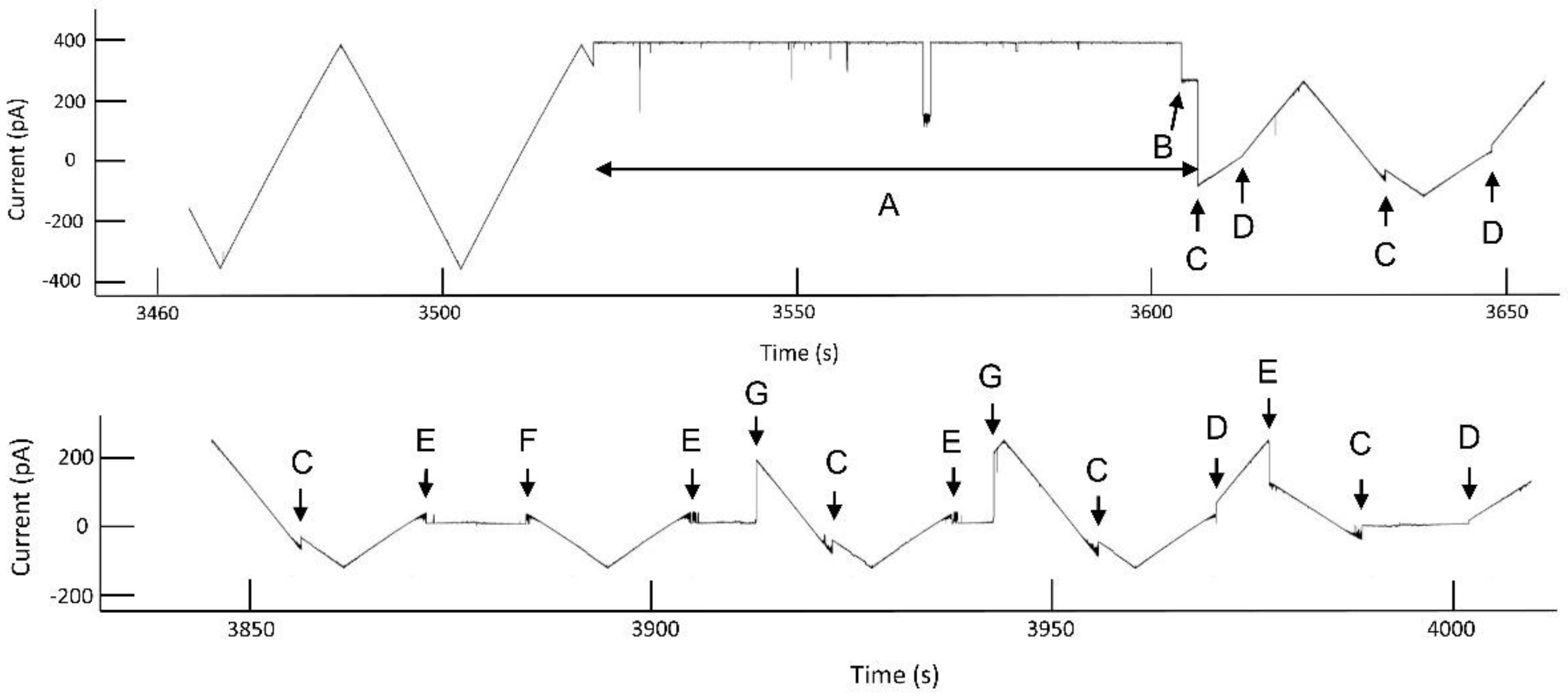 Ijms 23 13765 g002 Ijms 23 13765 g002