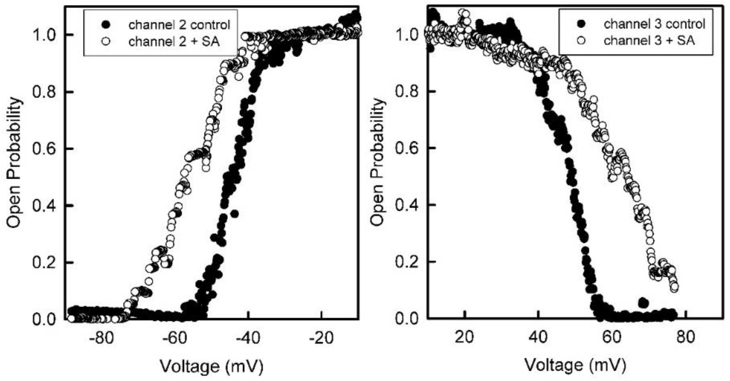 Ijms 23 13765 g004 Ijms 23 13765 g004
