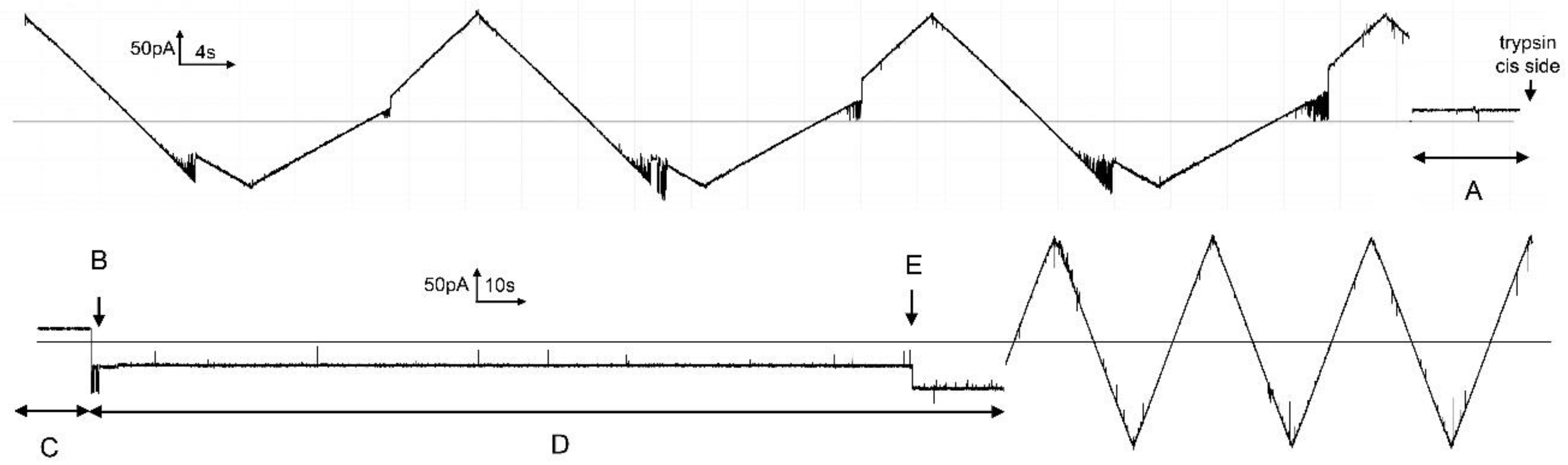 Ijms 23 13765 g010 Ijms 23 13765 g010