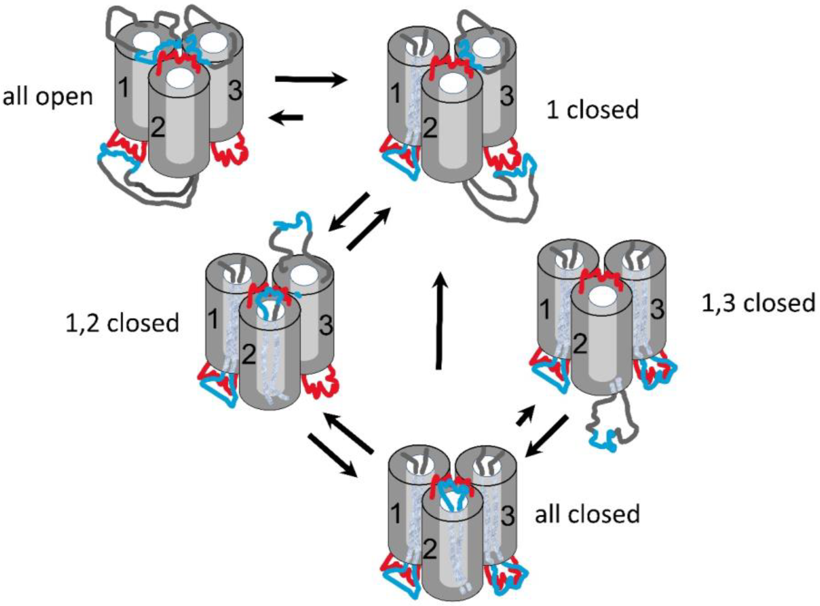 Ijms 23 13765 g014 Ijms 23 13765 g014