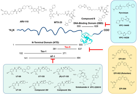Constitutively Active Androgen Receptor in Hepatocellular